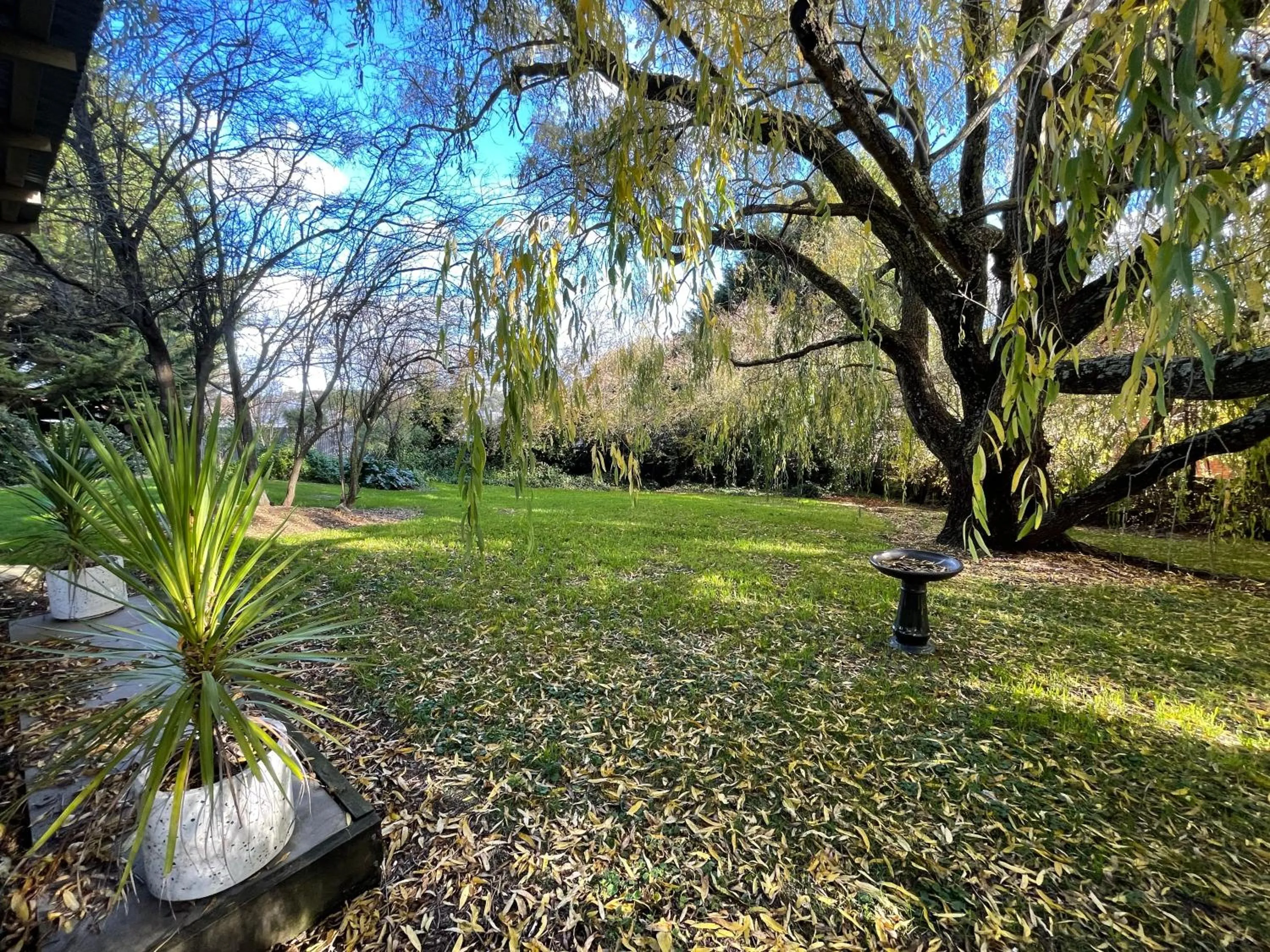 Garden in Central Highlands Motor Inn
