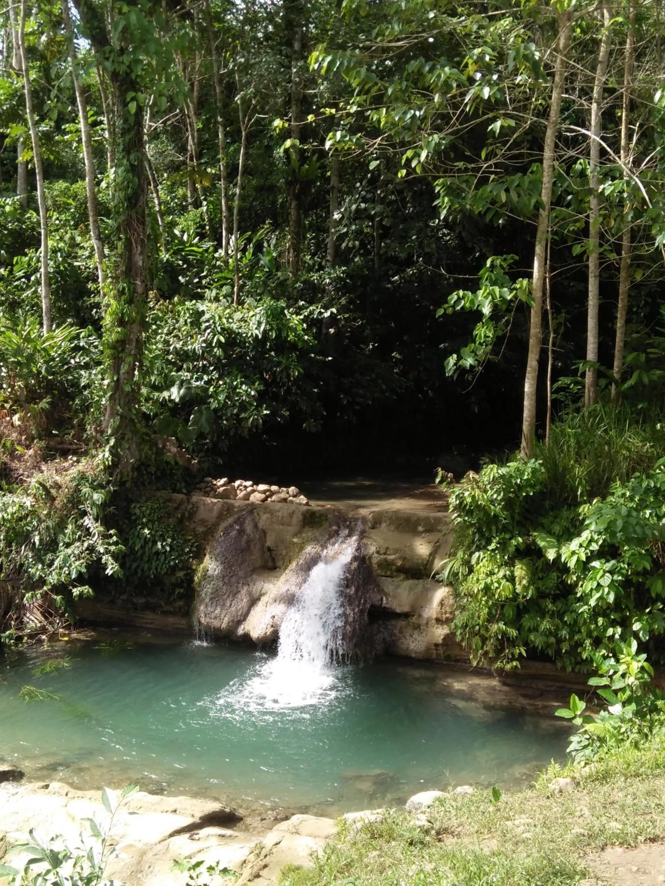 Natural landscape in Salty Dog Hostel