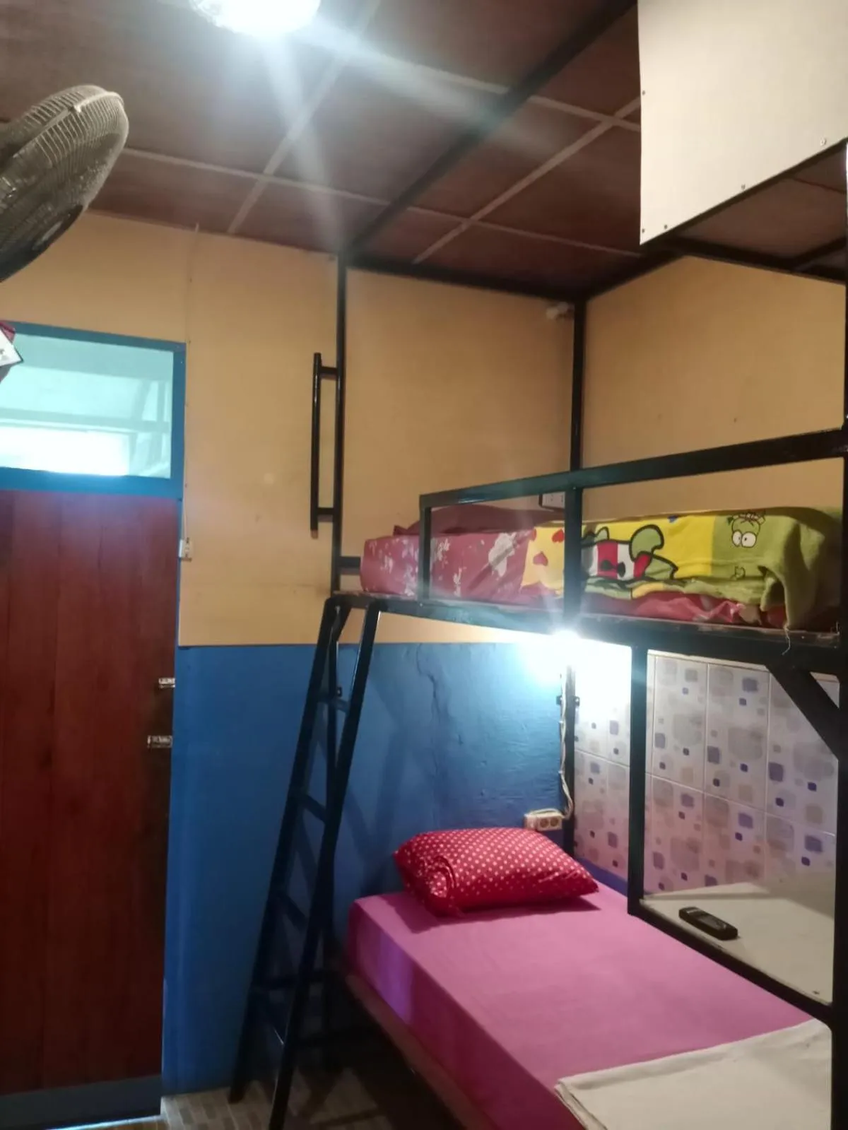 Bed in Salty Dog Hostel