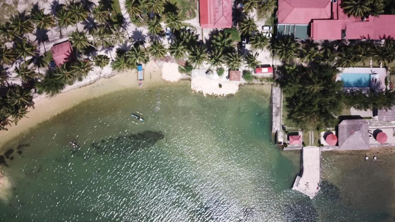 Bird's eye view in Salty Dog Hostel