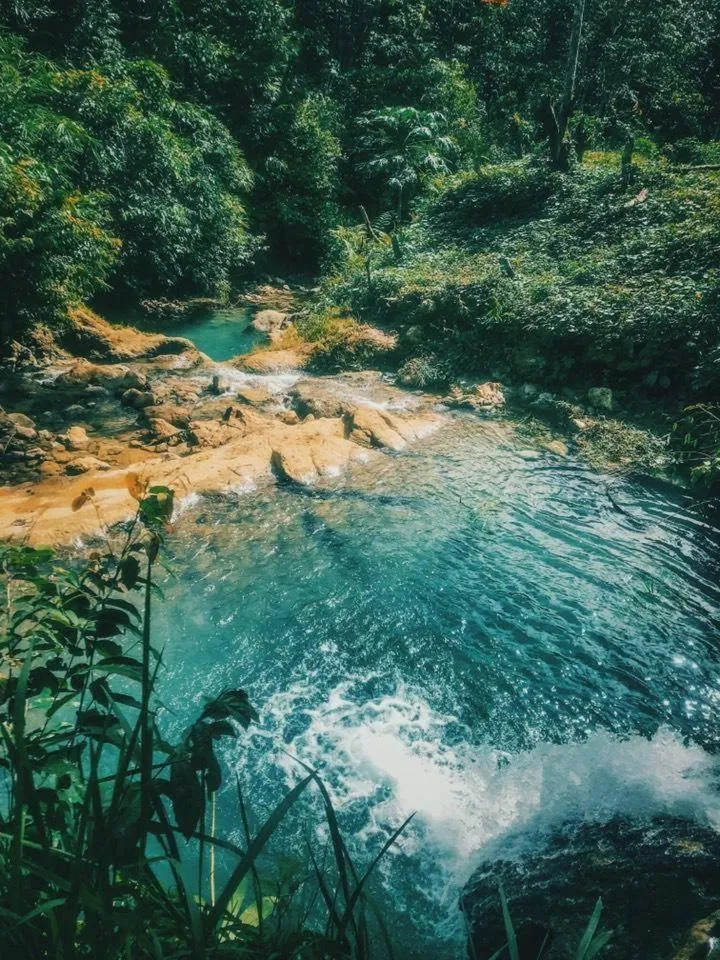Natural landscape in Salty Dog Hostel