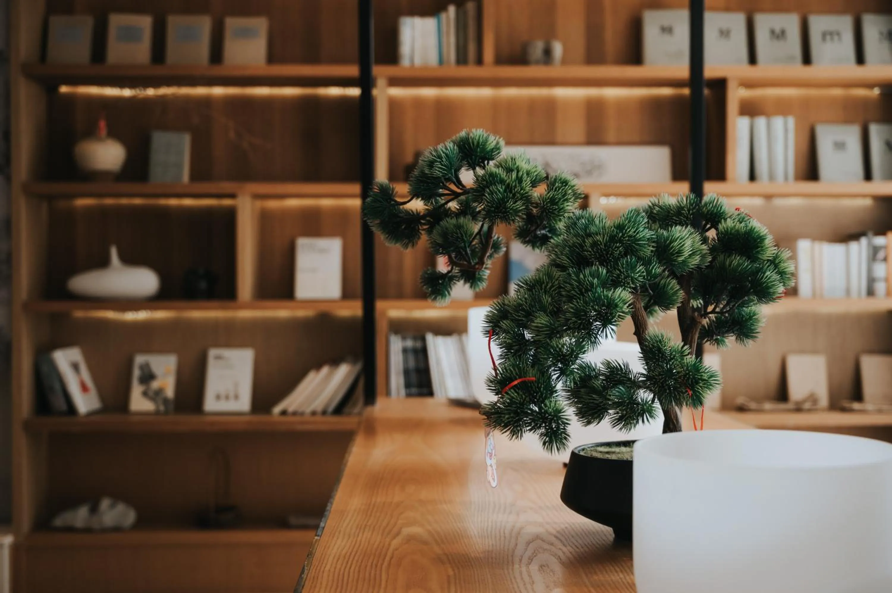 Library in Guilin Bonjour Boutique Hotel- Free pick up service over 3 nights