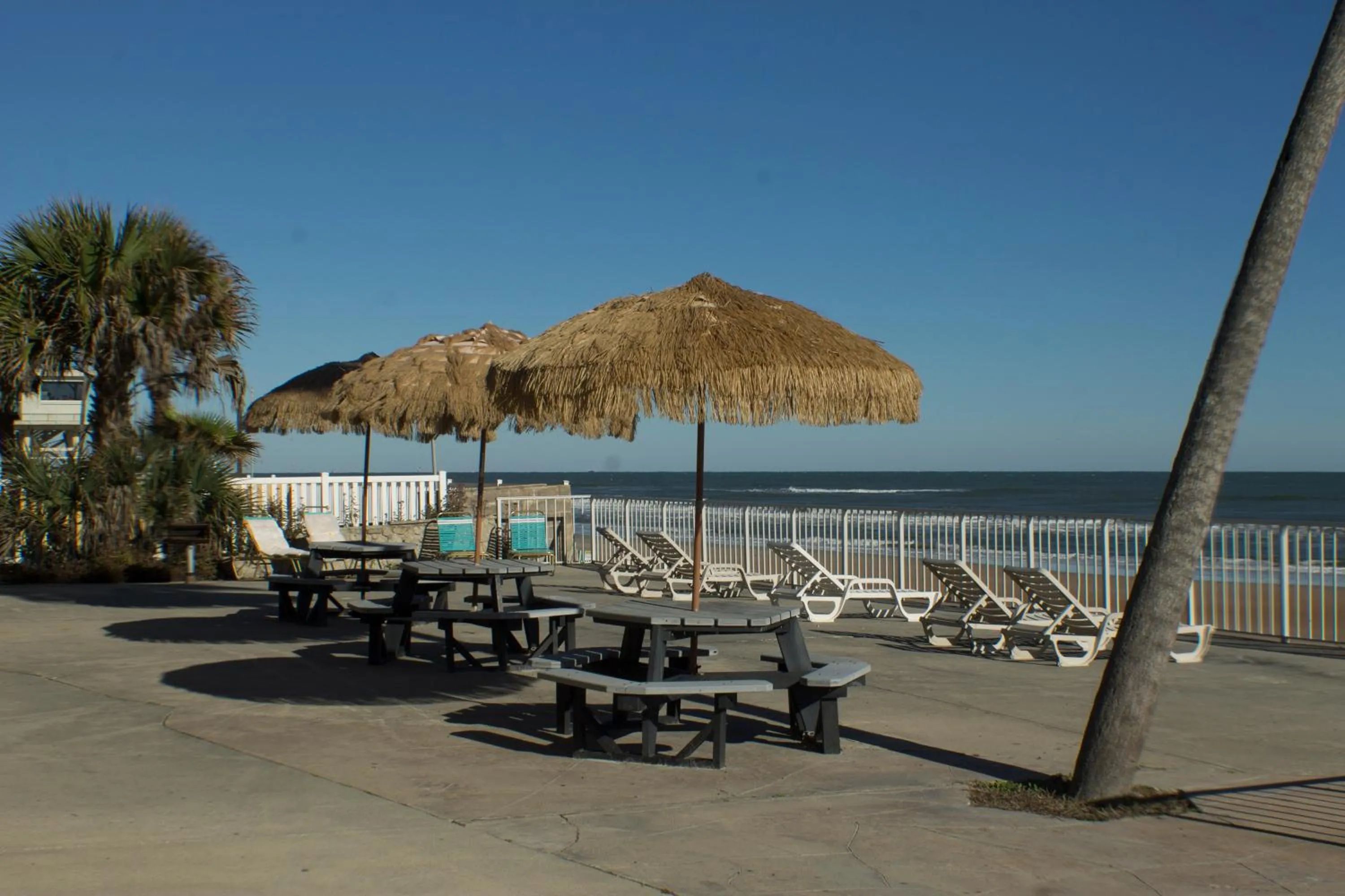 Patio in Makai Beach Lodge - NOT TAKING RESERVATIONS DUE TO HURRICANE DAMAGE Until Mid DEC