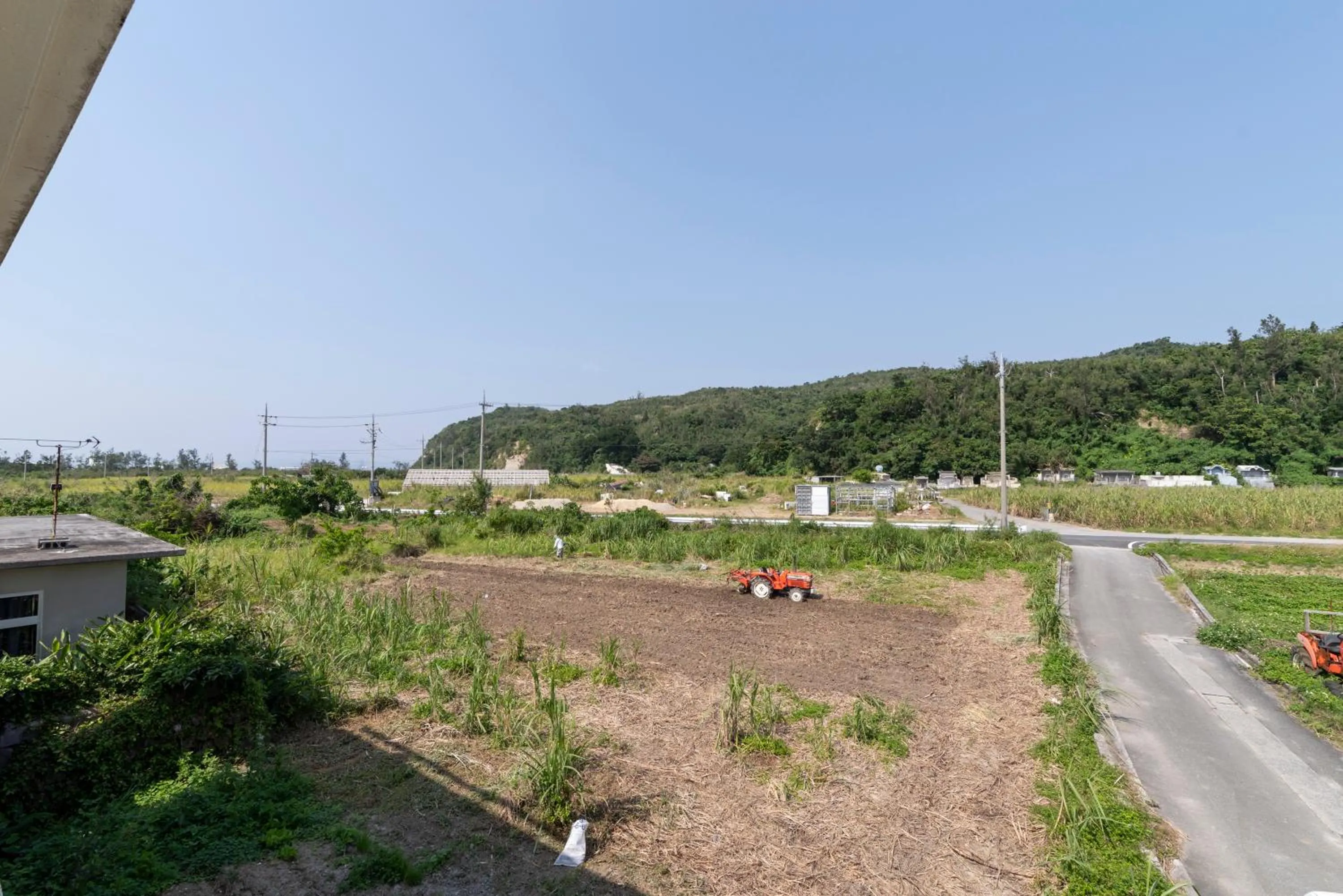 Garden view in Maru House