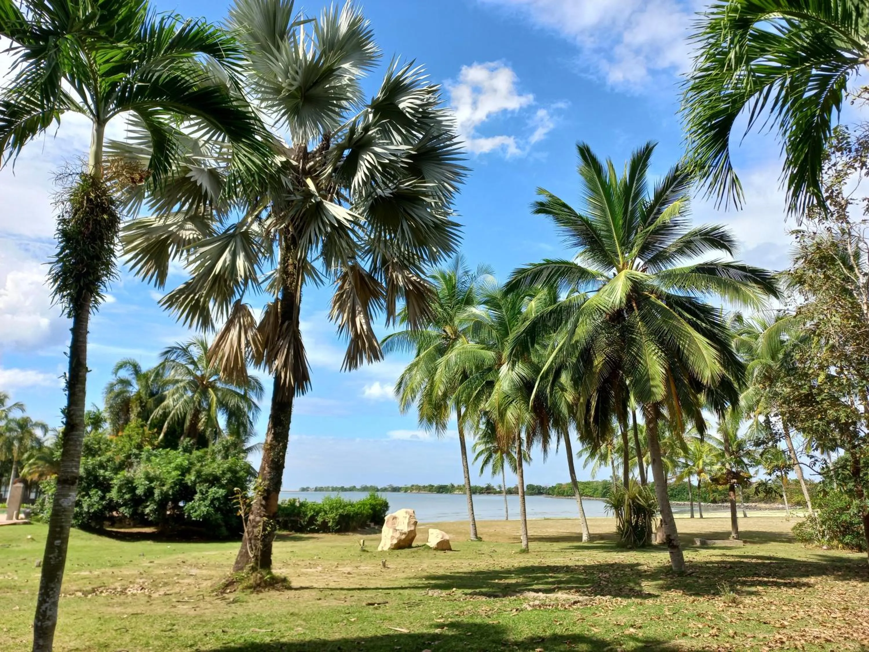 Garden in Langkawi Lagoon Hotel Resort