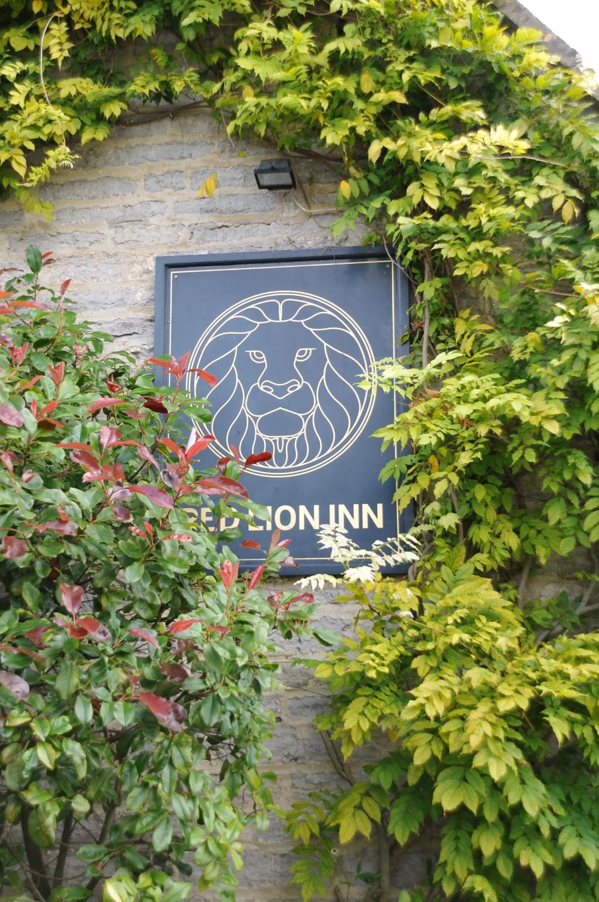 Day in The Red Lion Inn