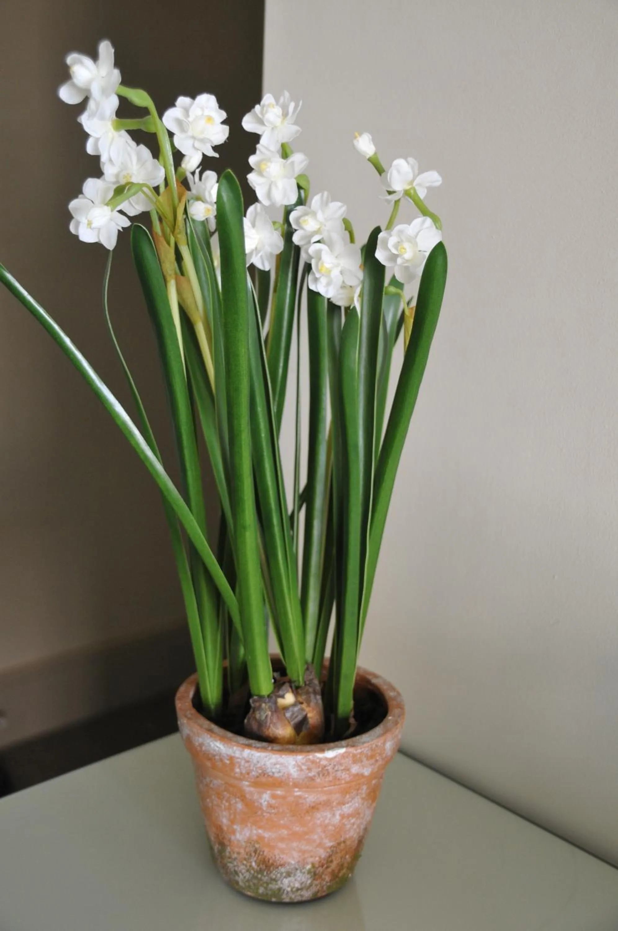 Other in The Red Lion Inn