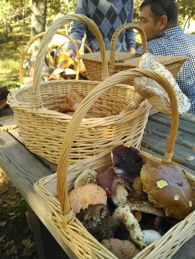 Property building in Hospedium Hotel El Nido de Alcudia Suites