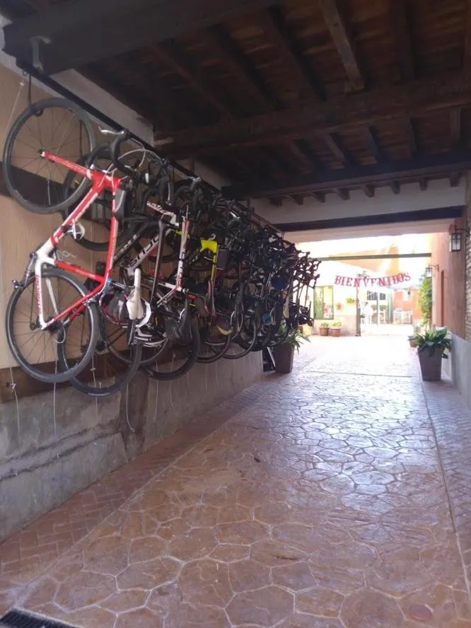 Activities in Hospedium Hotel El Nido de Alcudia Suites