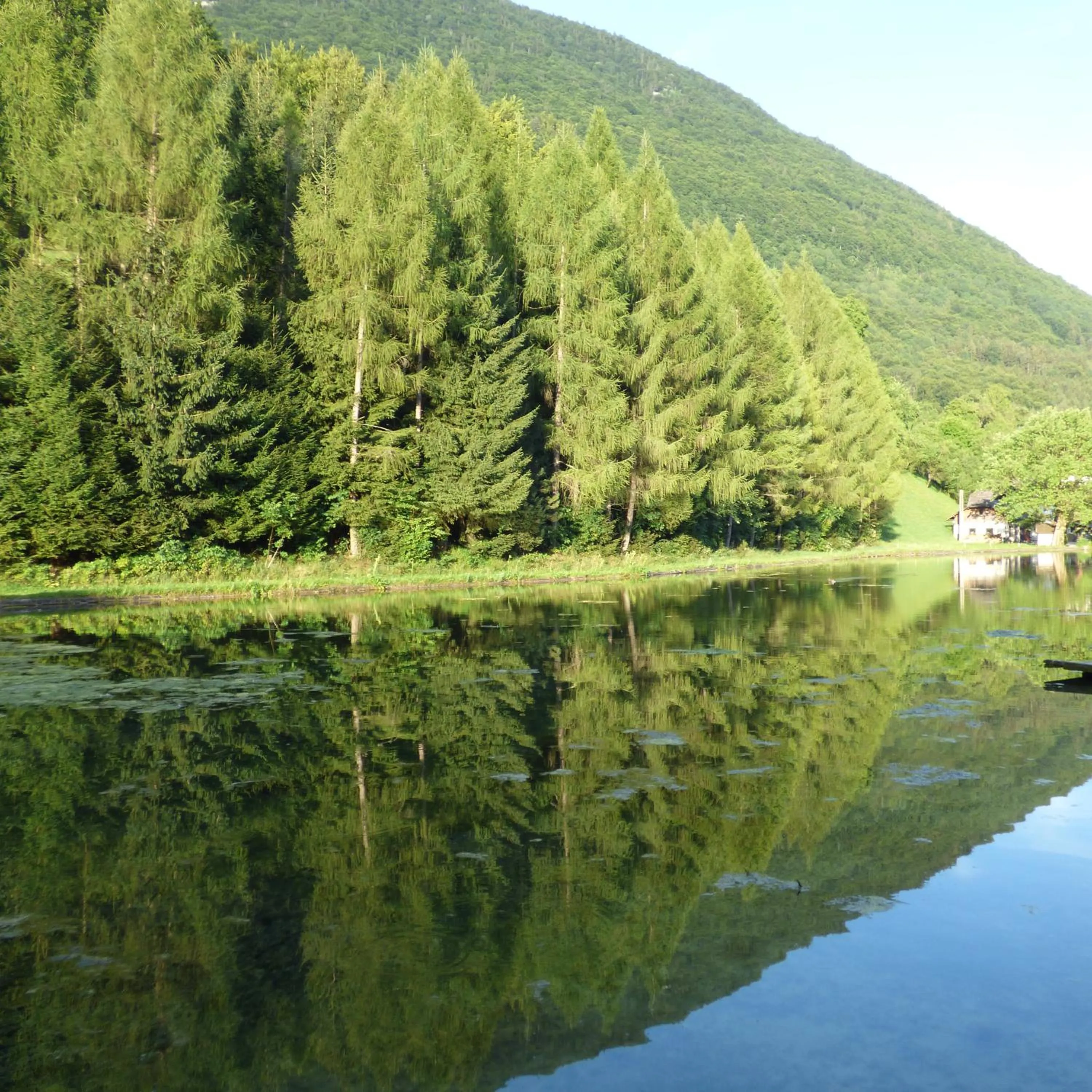 Beach in Wieselmühle Forellenhof