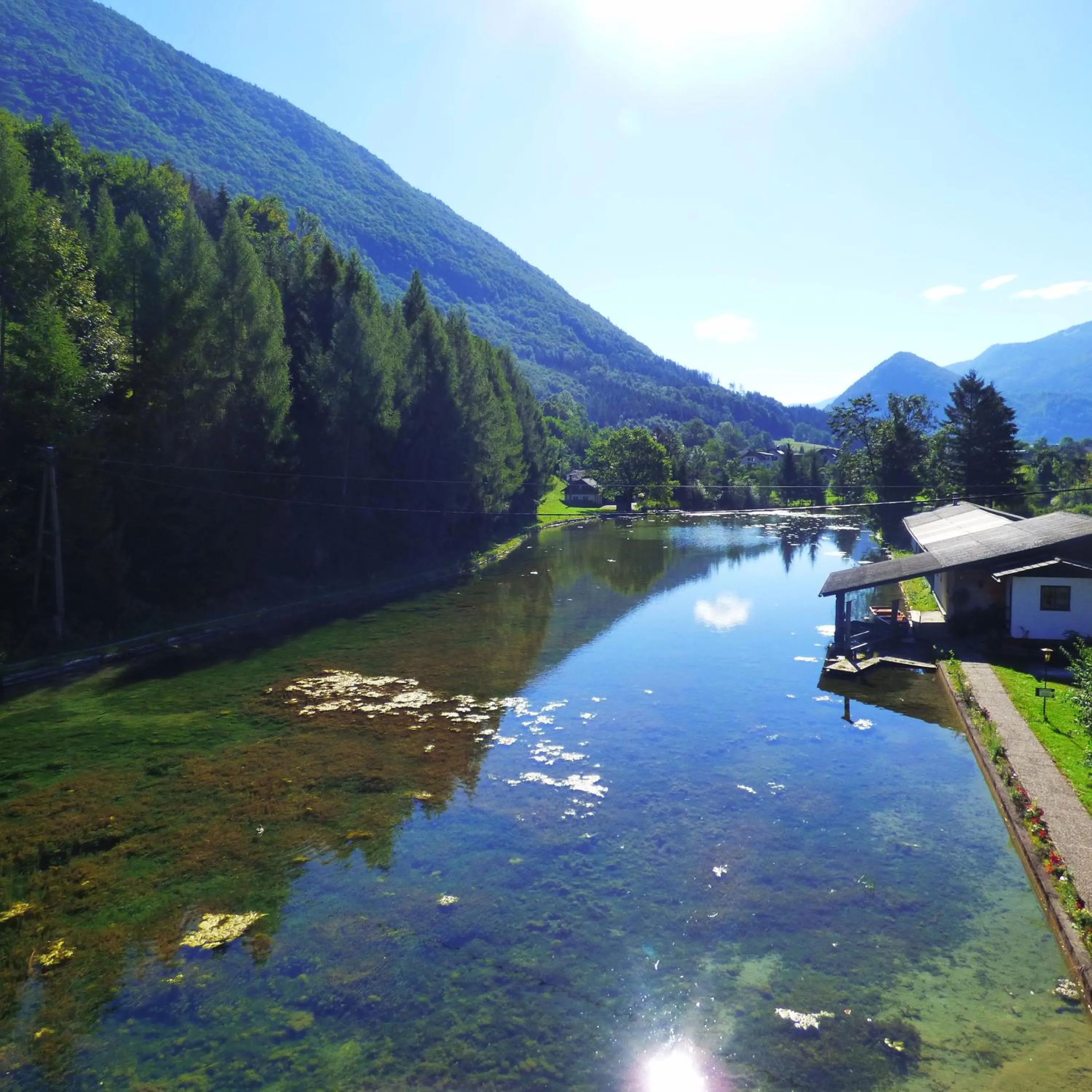 Natural landscape in Wieselmühle Forellenhof