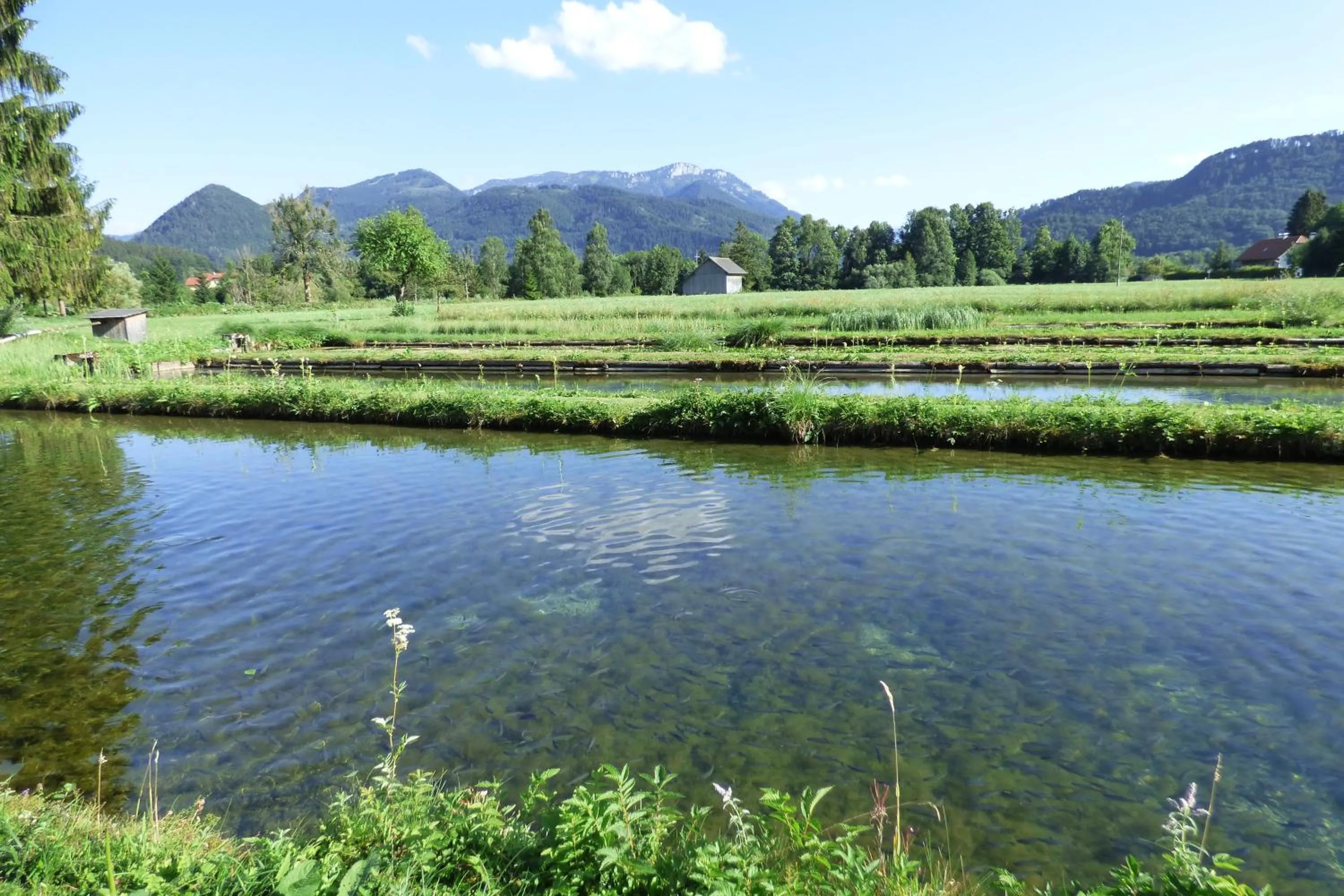 Beach in Wieselmühle Forellenhof
