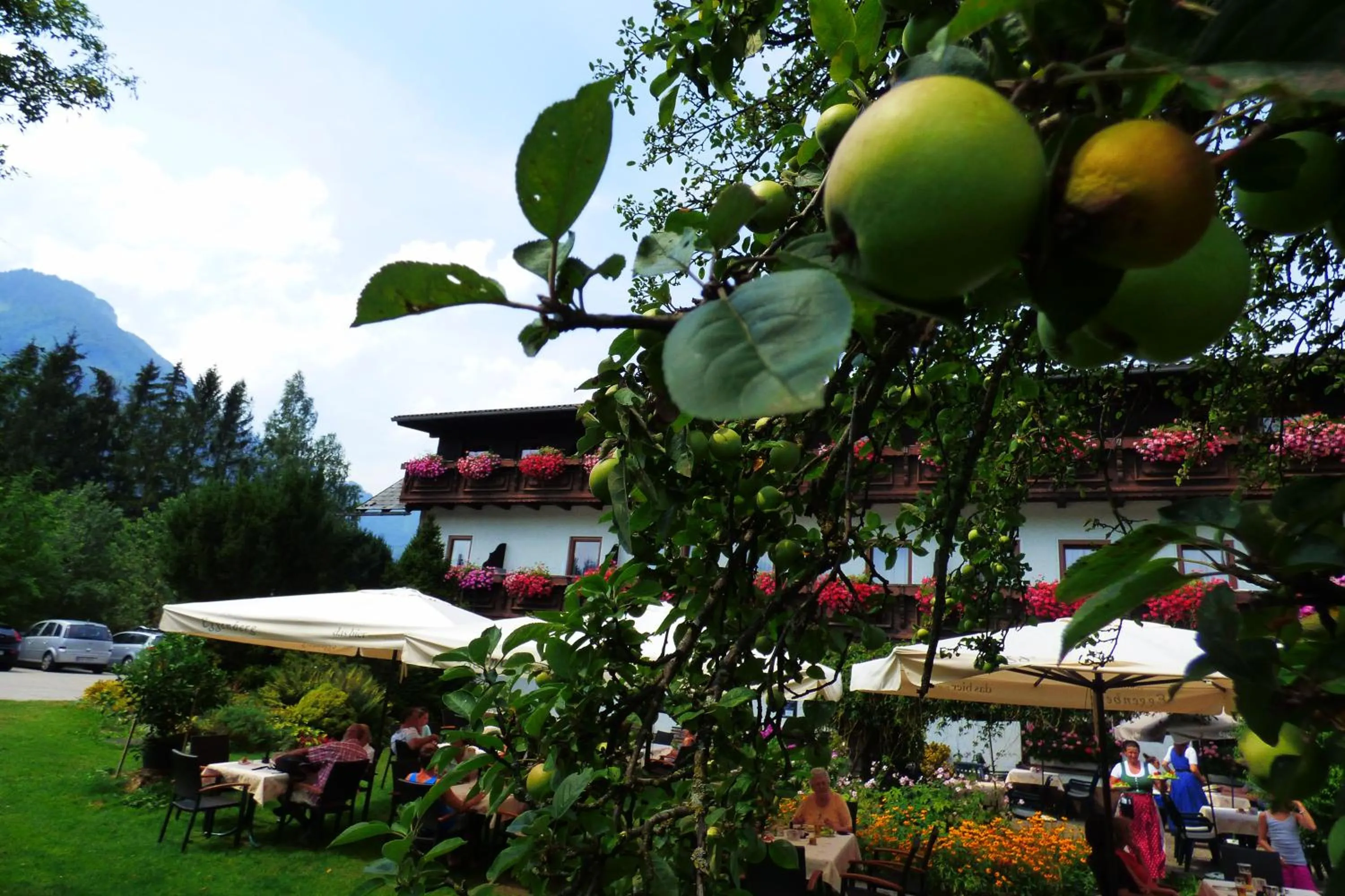 Wieselmühle Forellenhof