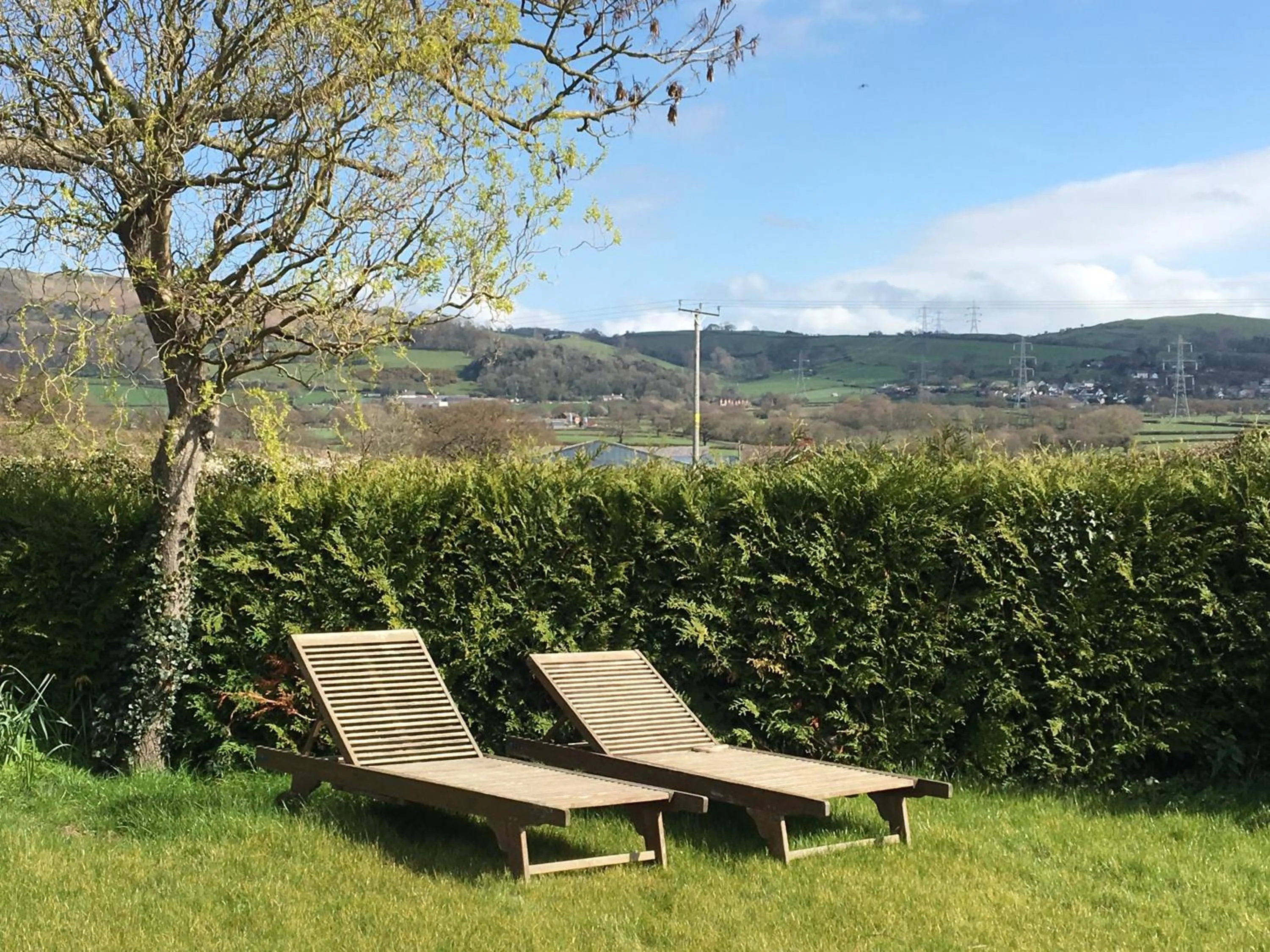 Garden in Tafarn y Waen - Guesthouse