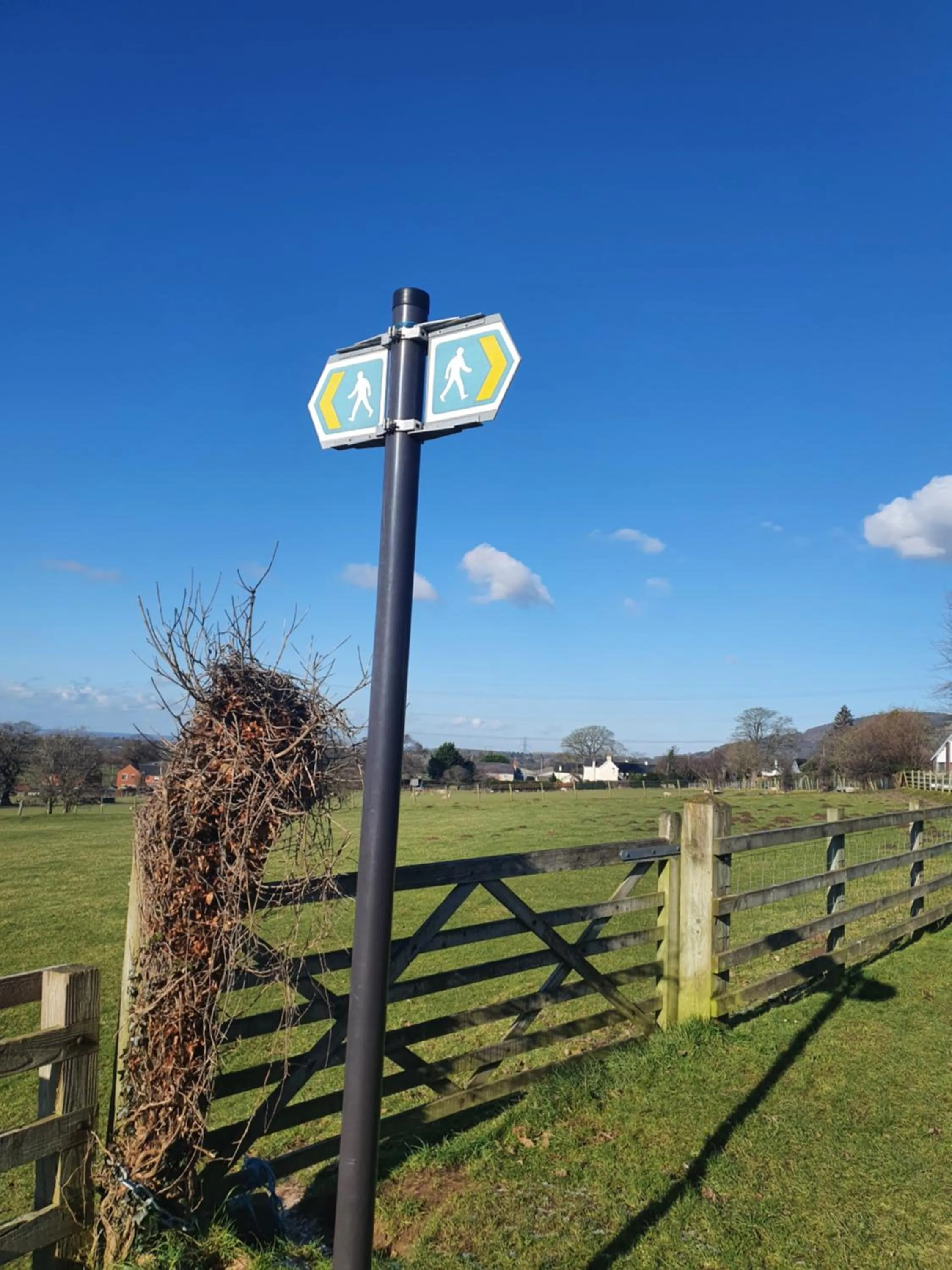 Natural landscape in Tafarn y Waen - Guesthouse