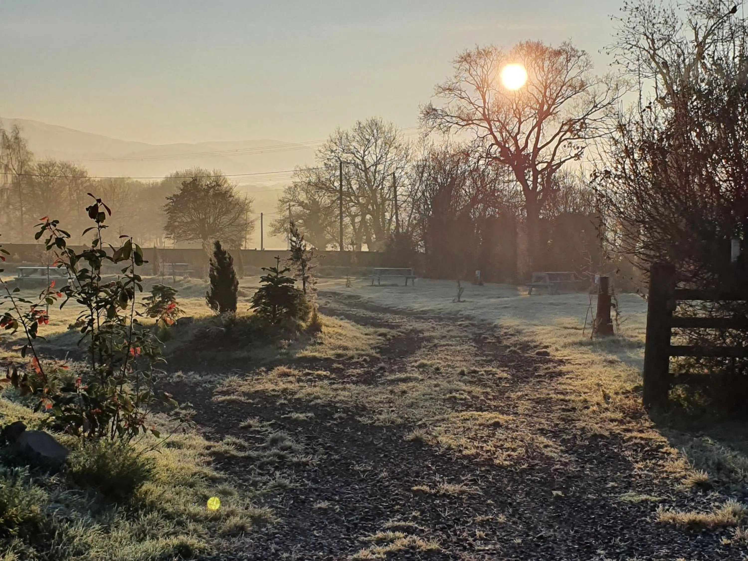 Garden in Tafarn y Waen - Guesthouse