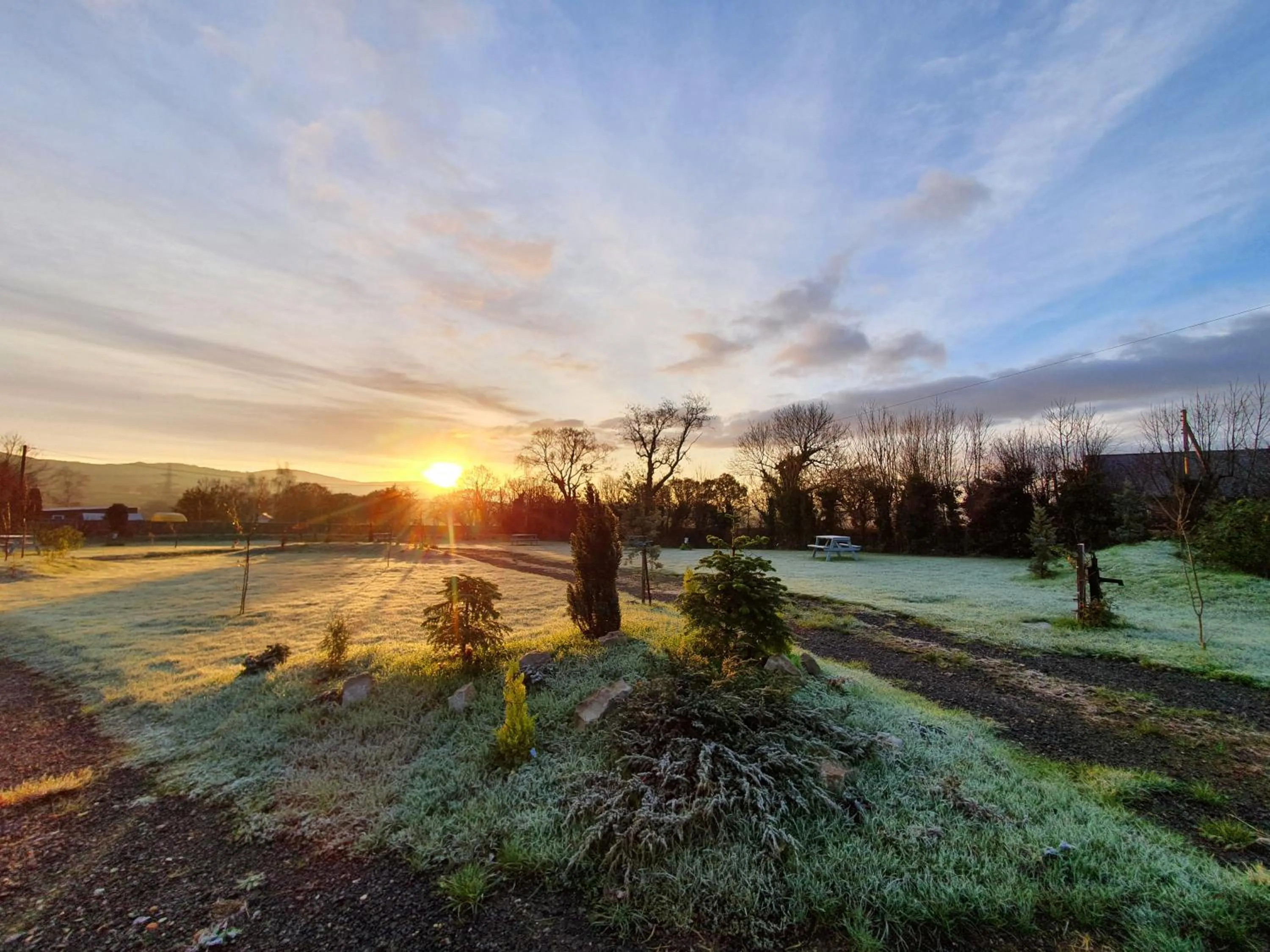 Garden in Tafarn y Waen - Guesthouse