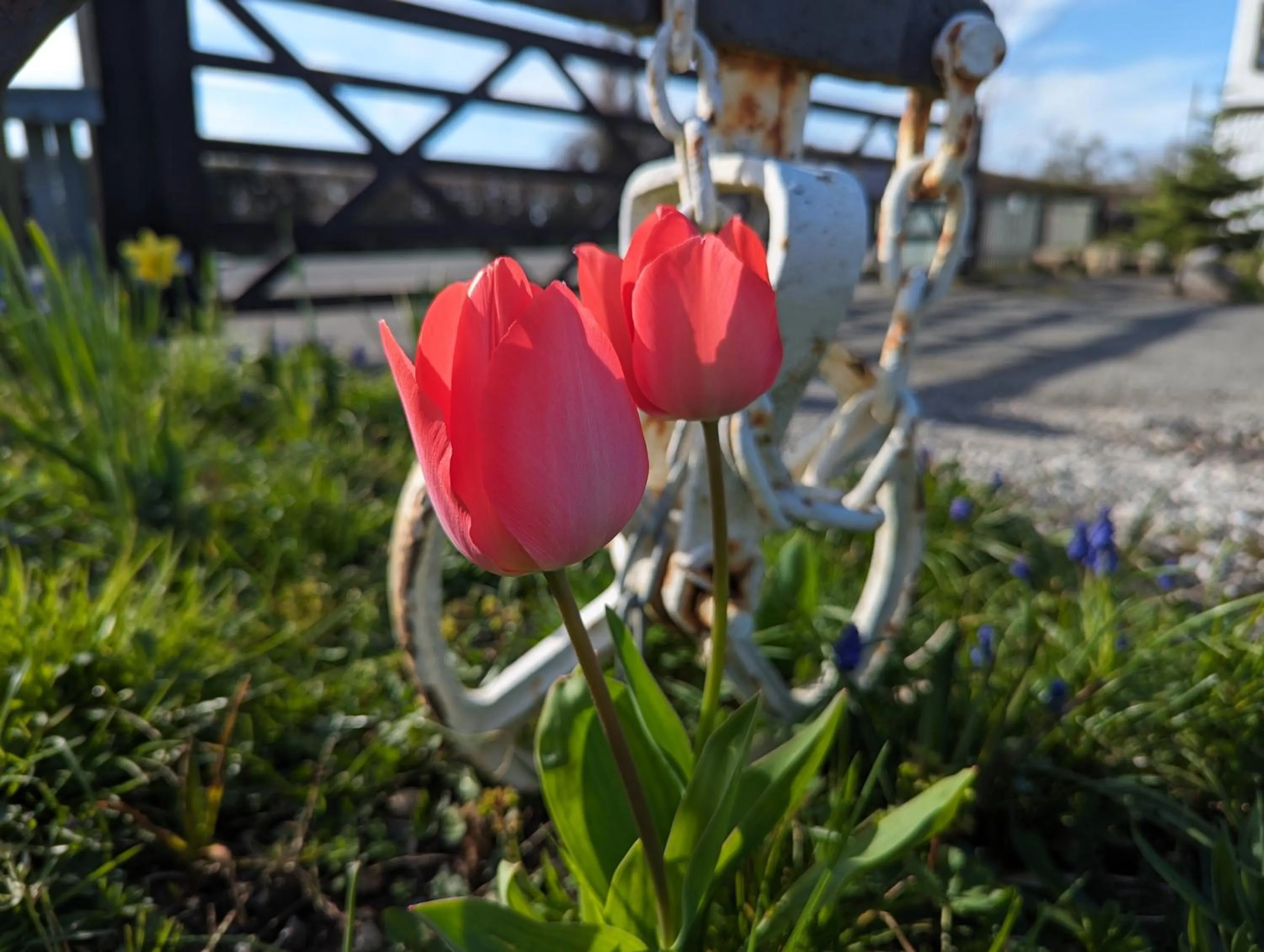 Natural landscape in Tafarn y Waen - Guesthouse