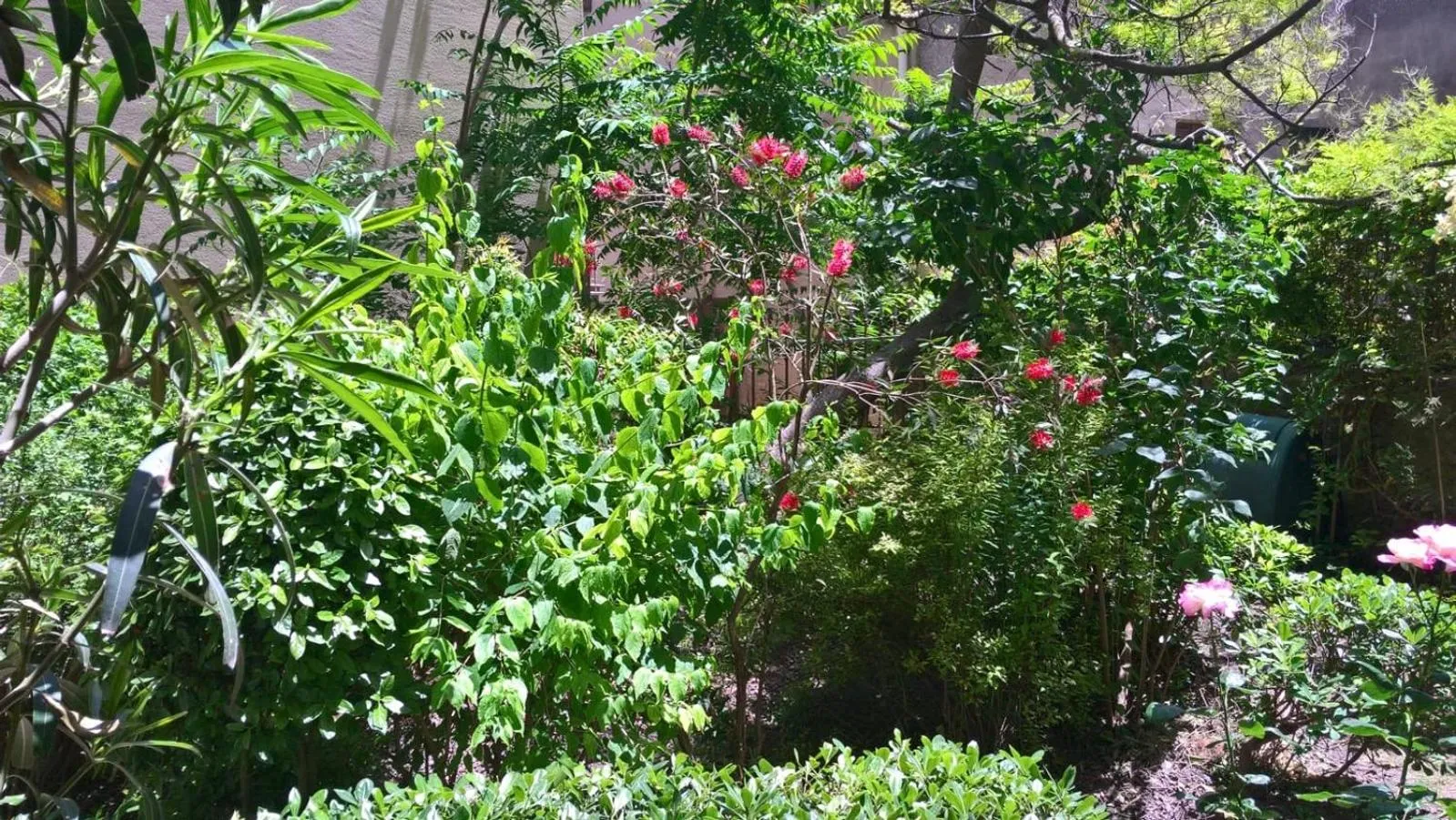 Garden in B&B Fleurs