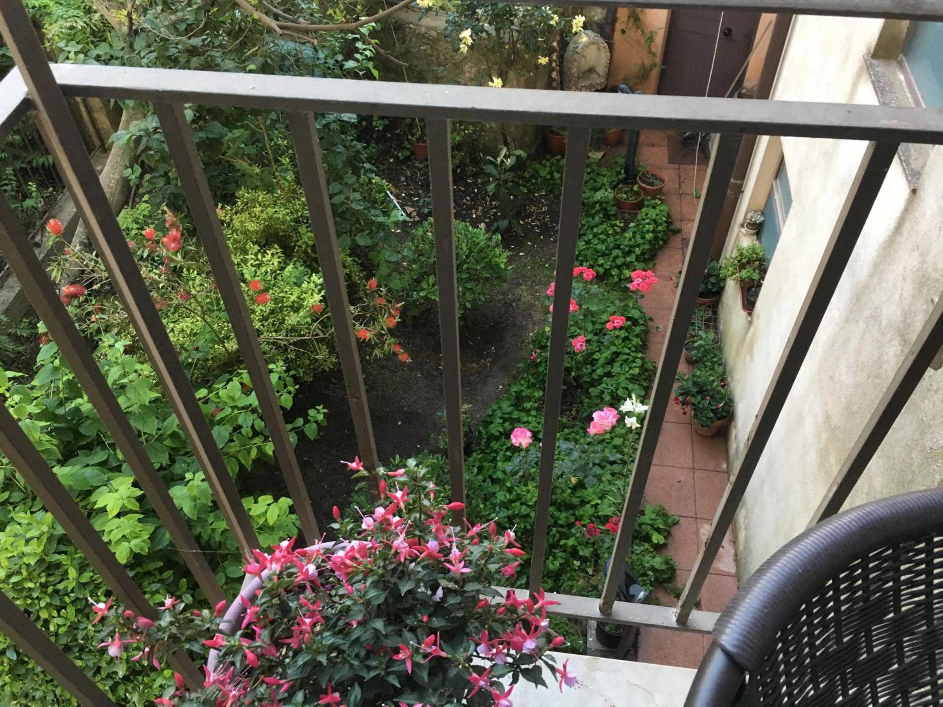 Garden view in B&B Fleurs