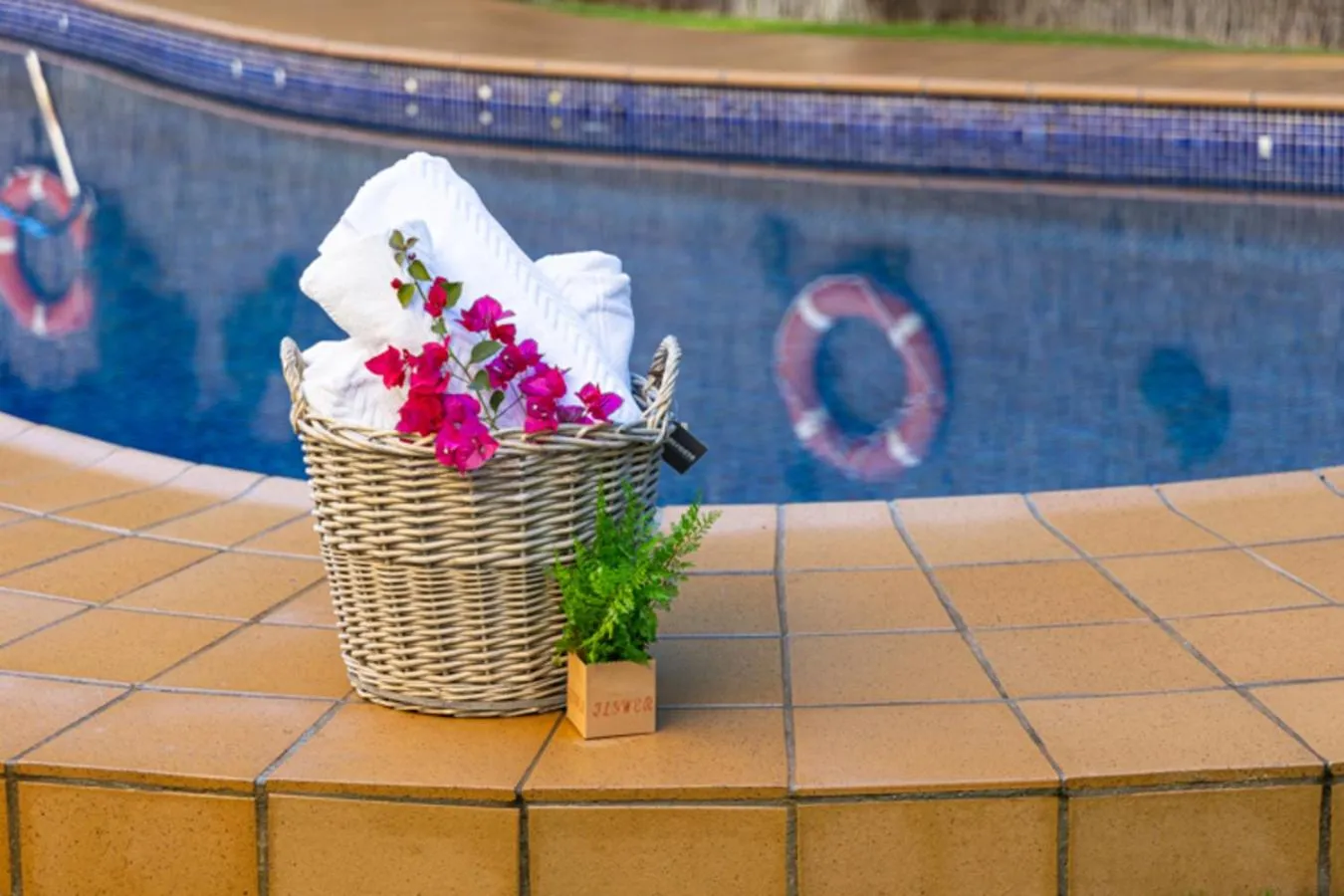 Swimming pool in Hotel Plaza Del Castillo
