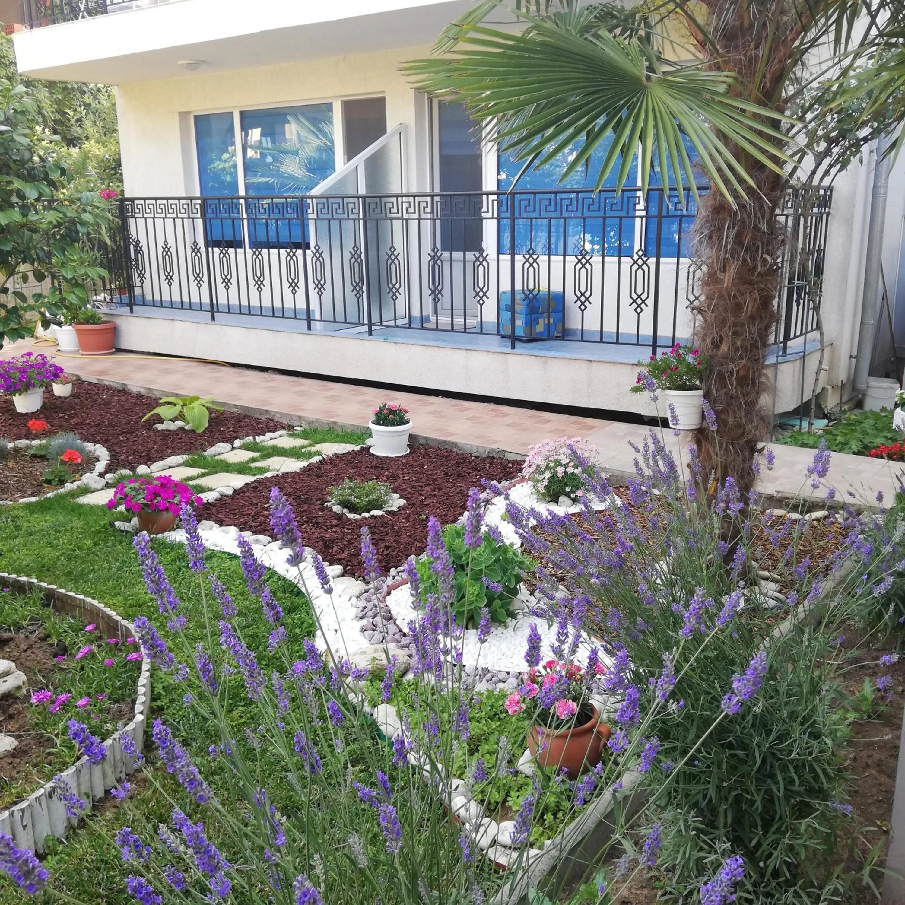 Albatros 2 Family Hotel