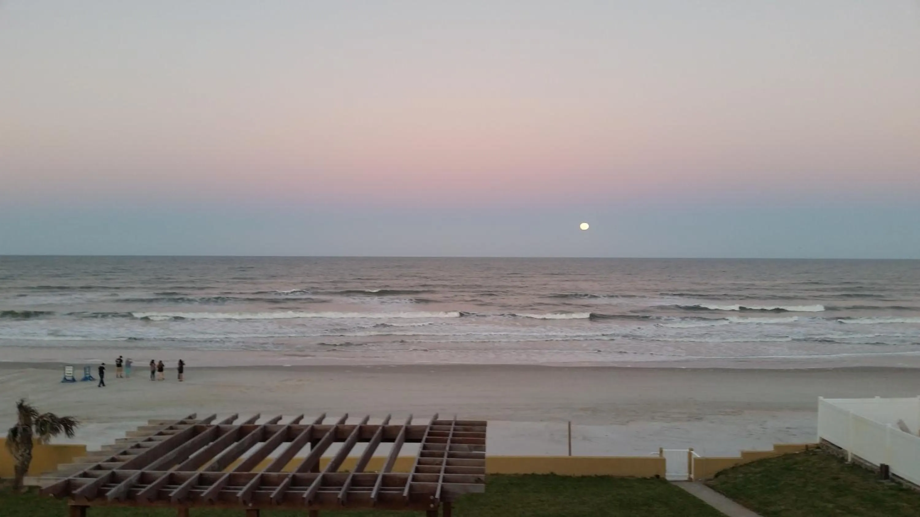 Natural landscape in Driftwood Beach Motel