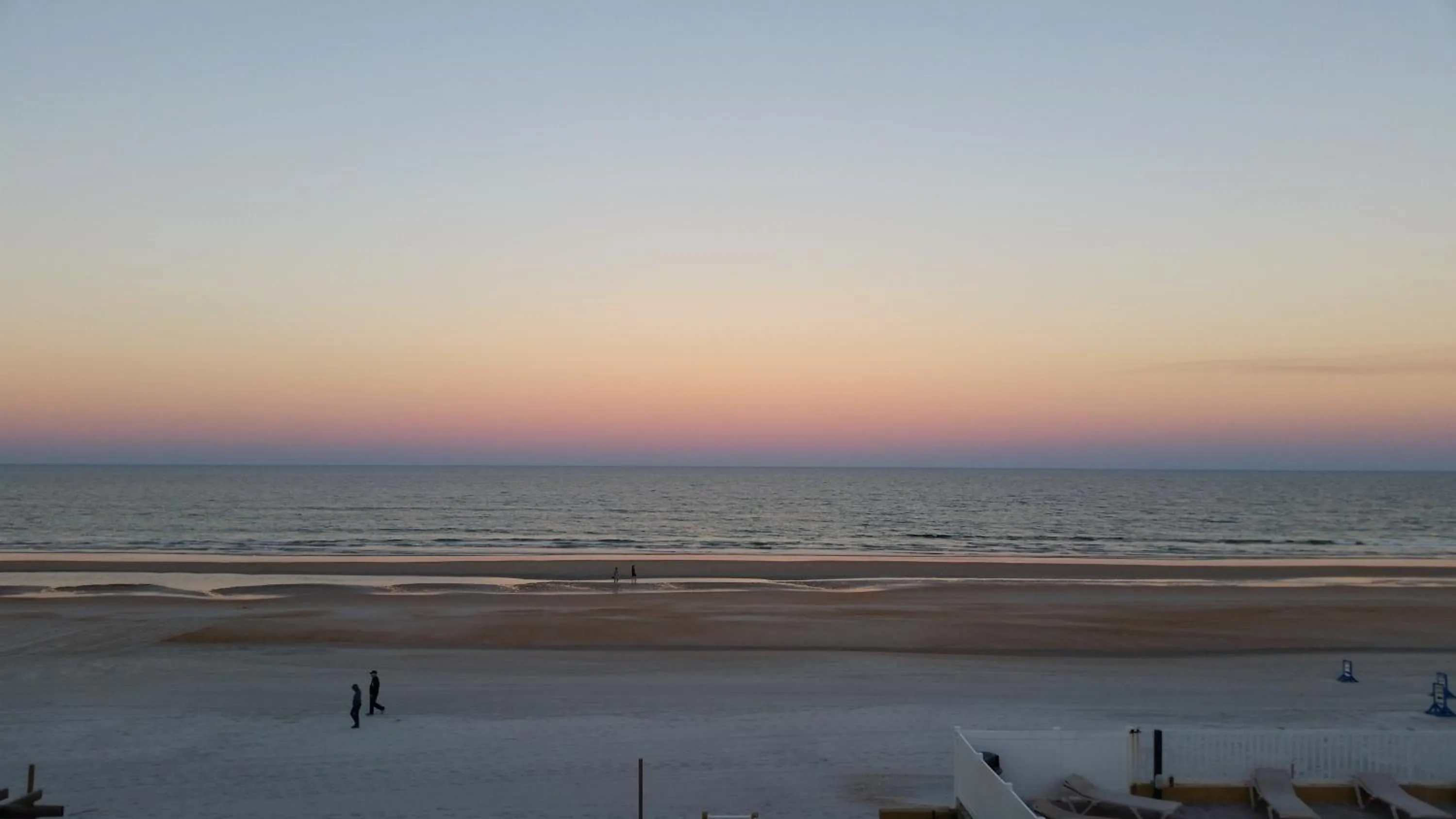 Natural landscape in Driftwood Beach Motel