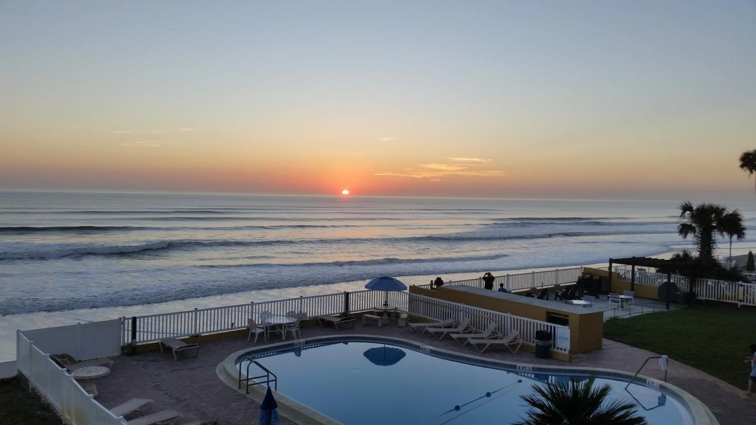 Natural landscape in Driftwood Beach Motel