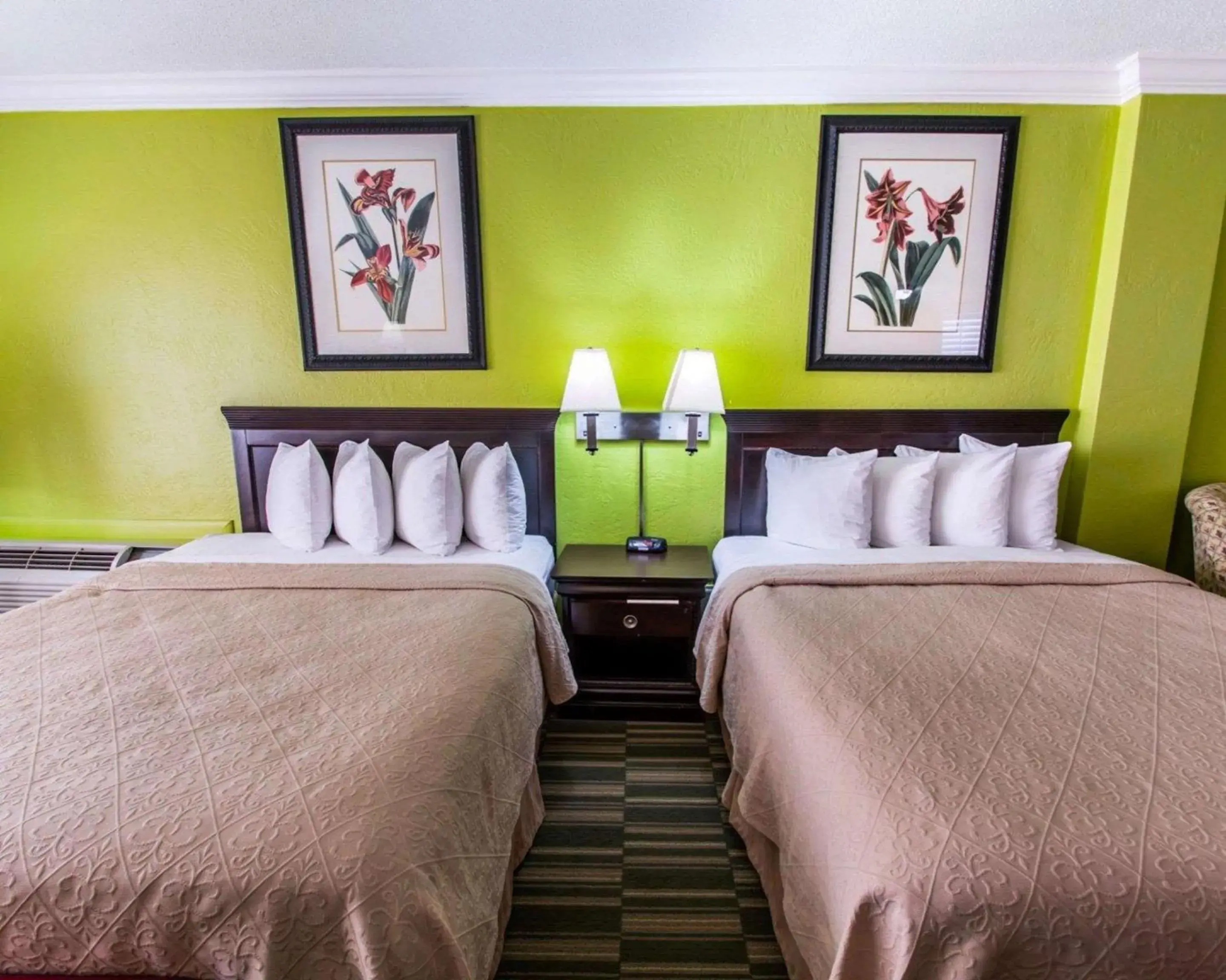 Photo of the whole room, Bed in Quality Inn Oceanfront Photo of the whole room, Bed in Quality Inn Oceanfront