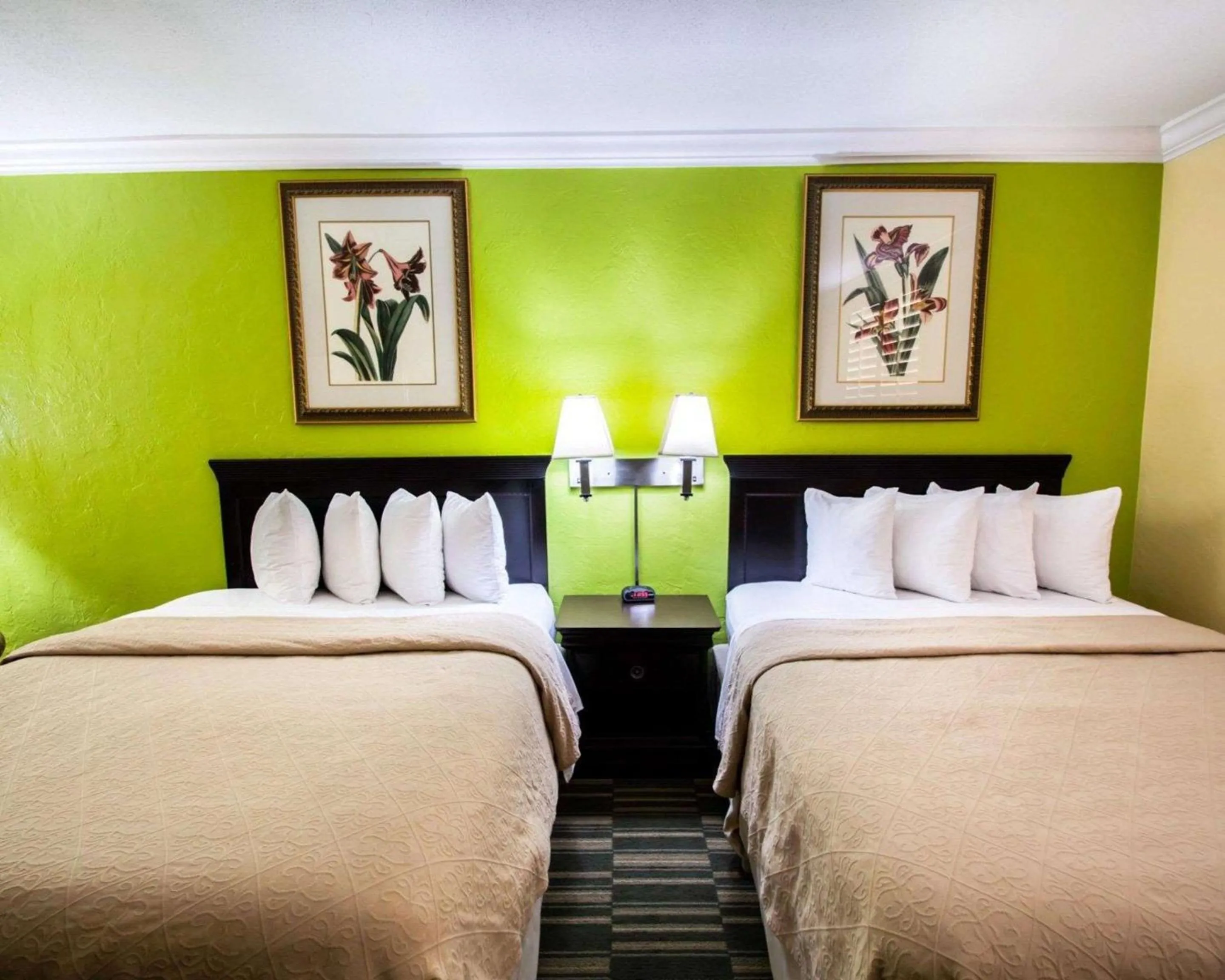 Photo of the whole room, Bed in Quality Inn Oceanfront