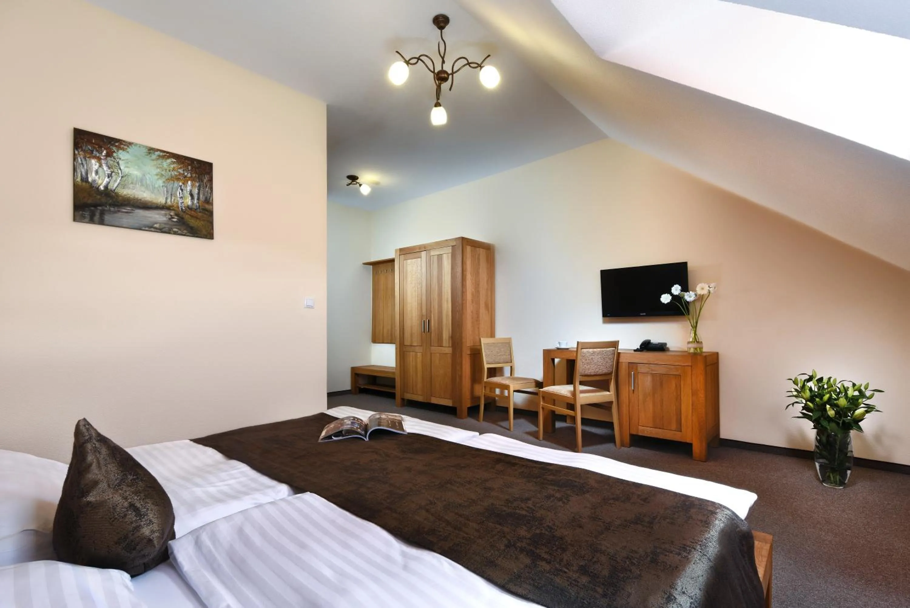 TV and multimedia, Bed in Rezort Masarykov dvor