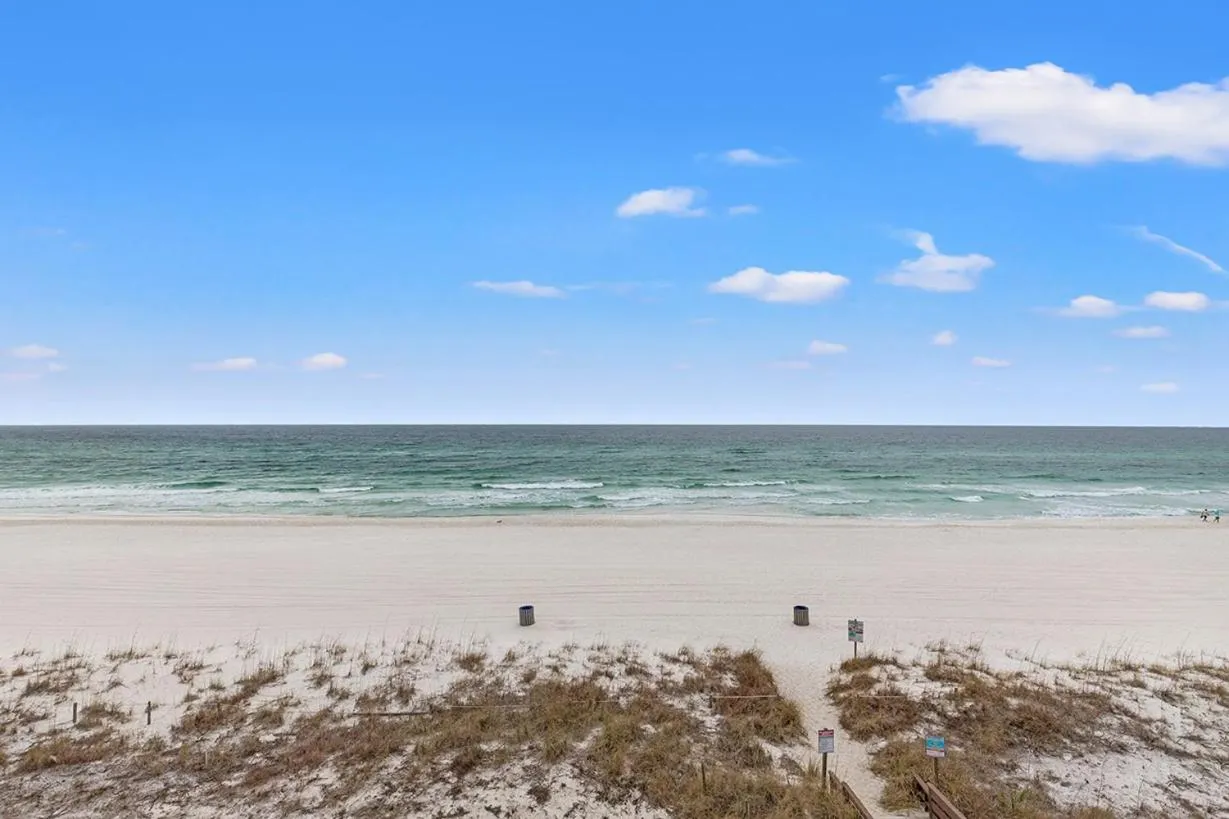 Beach in The Reef At Seahaven Beach Resorts