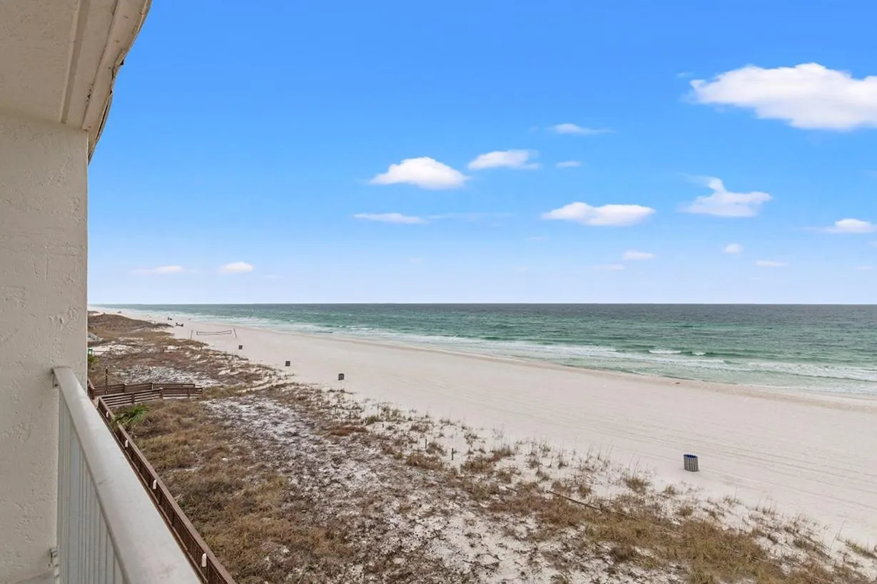 Beach in The Reef At Seahaven Beach Resorts