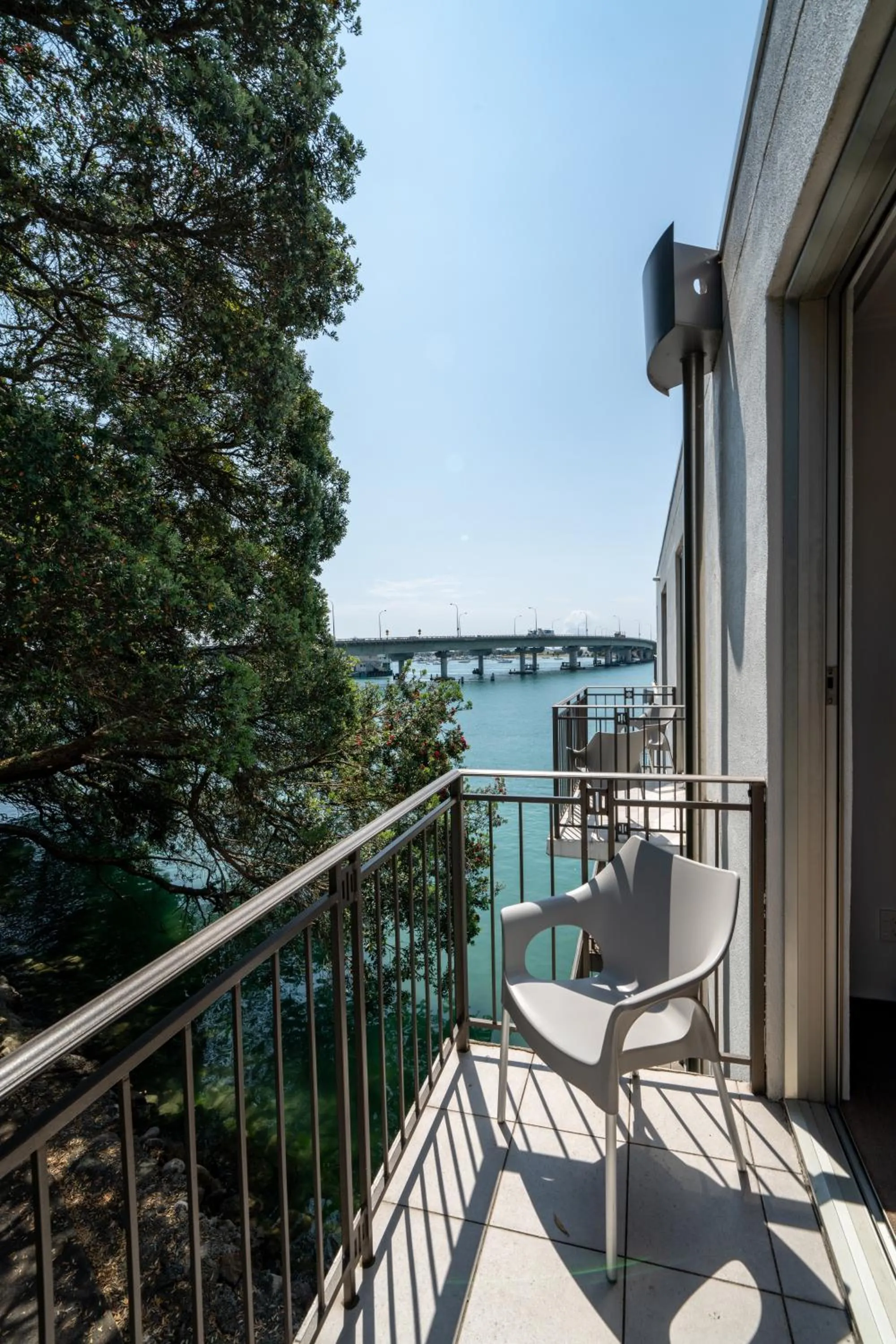 Day in Trinity Wharf Tauranga