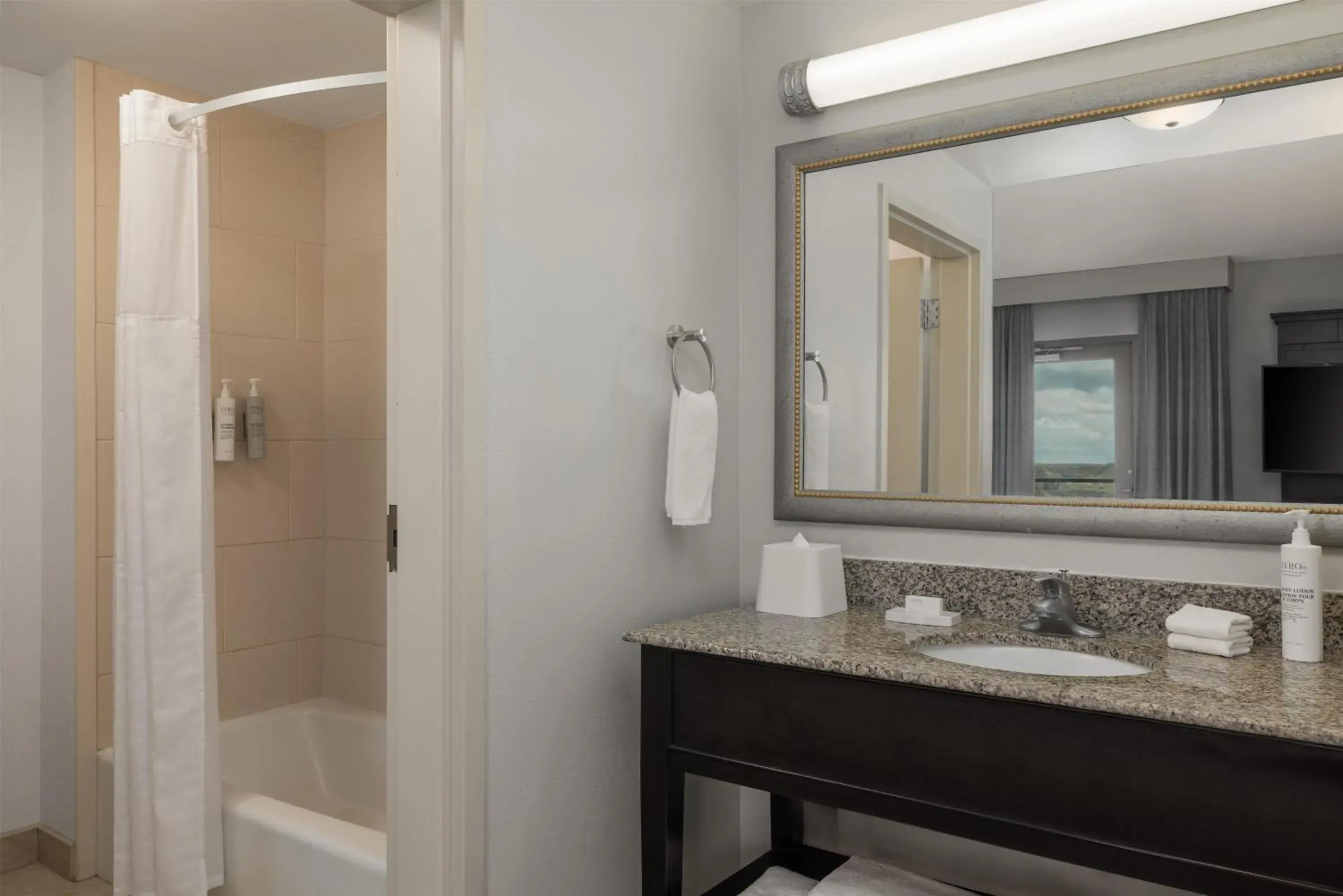 Bathroom in Hampton Inn & Suites Baton Rouge Downtown Bathroom in Hampton Inn & Suites Baton Rouge Downtown