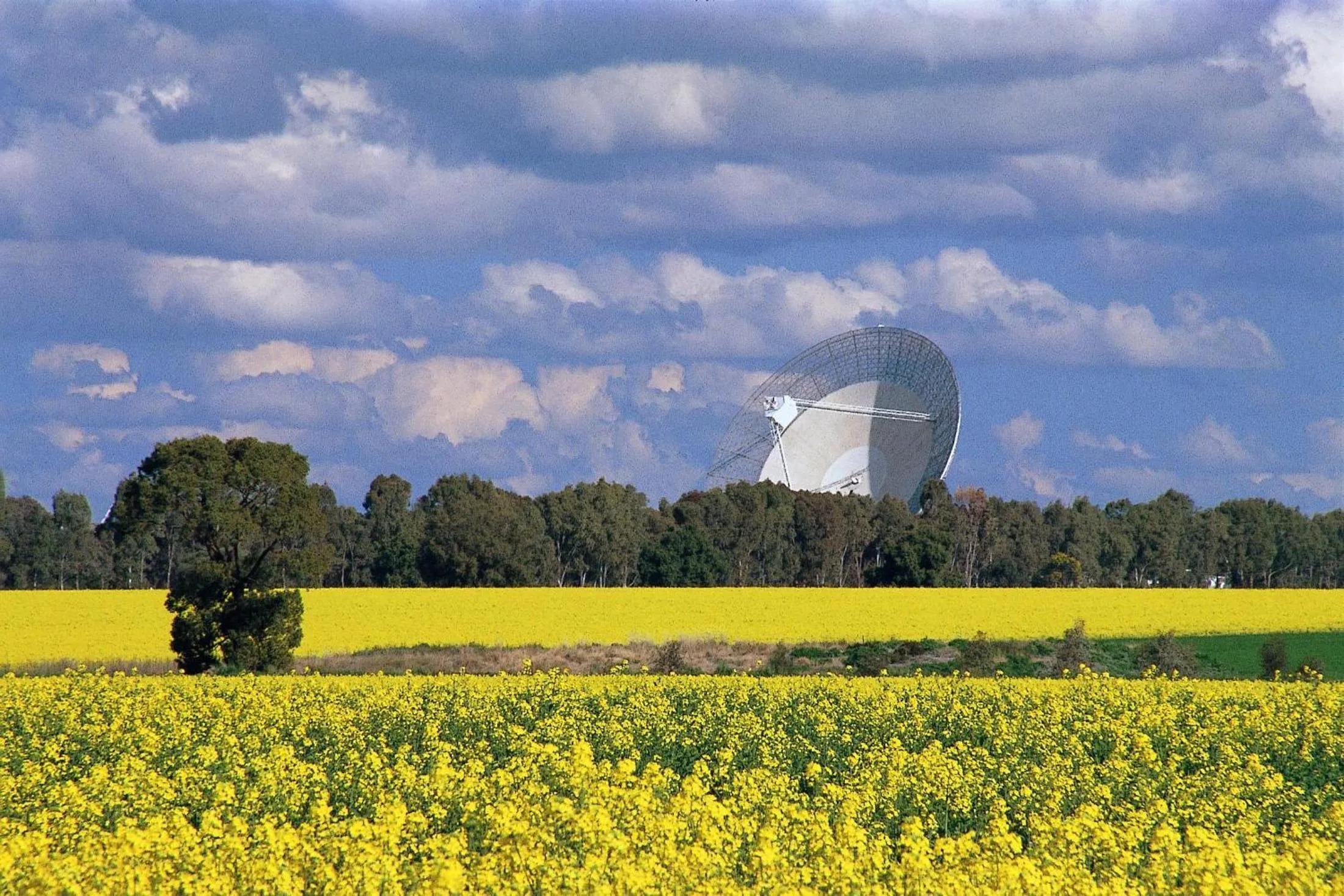 Spring, Natural Landscape in Hotel Gracelands