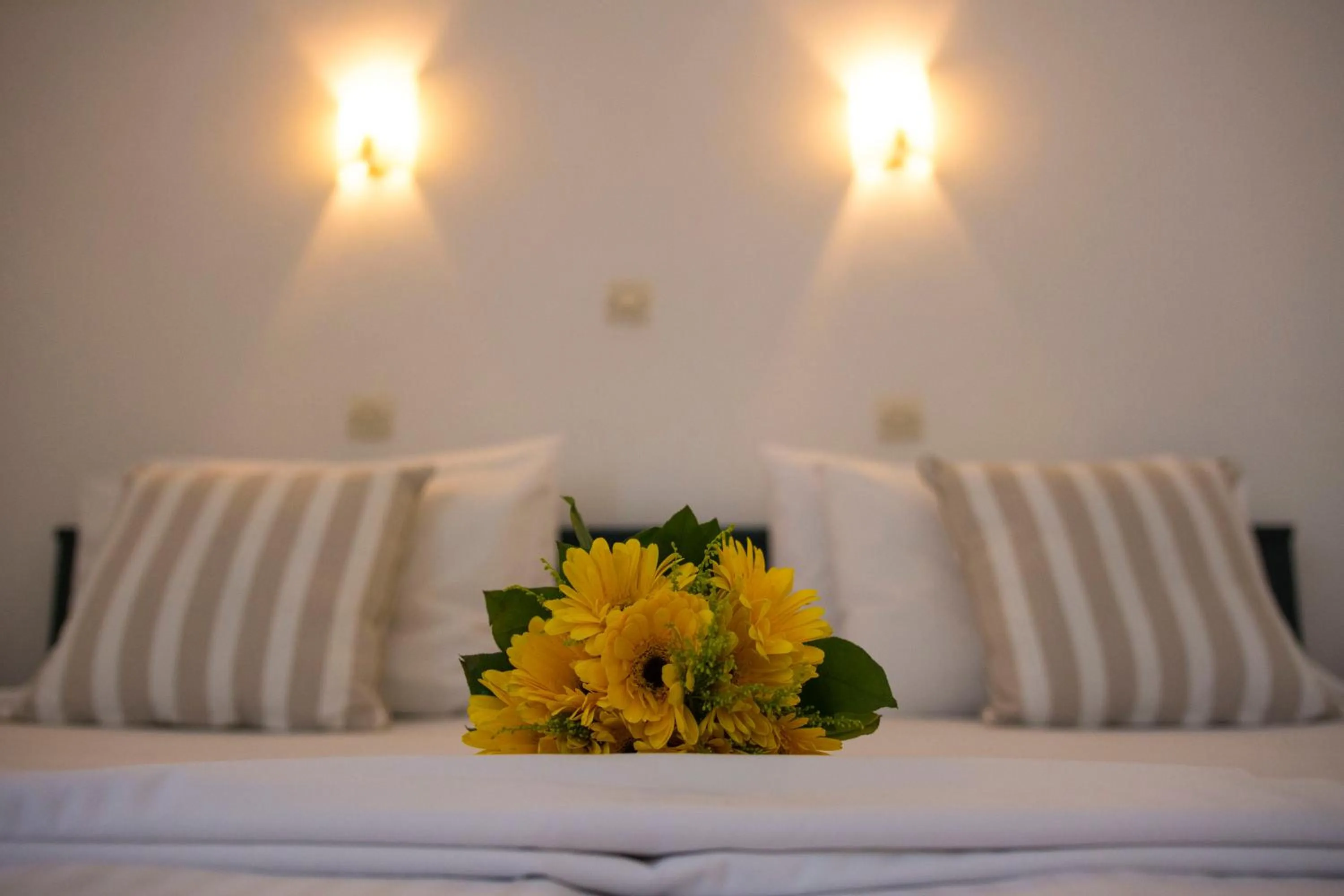 Bed in Frida Apartments