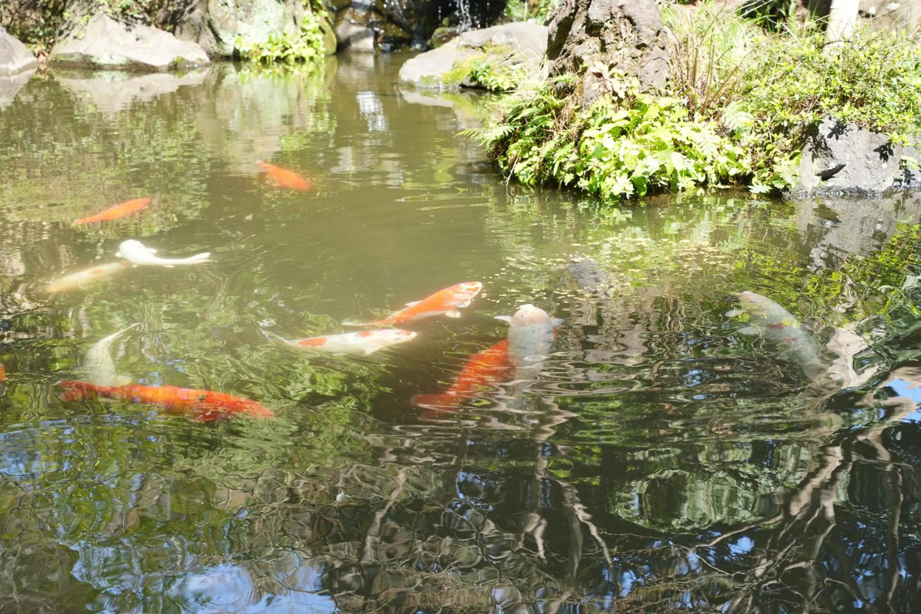 Area and facilities in Ito Kowakien