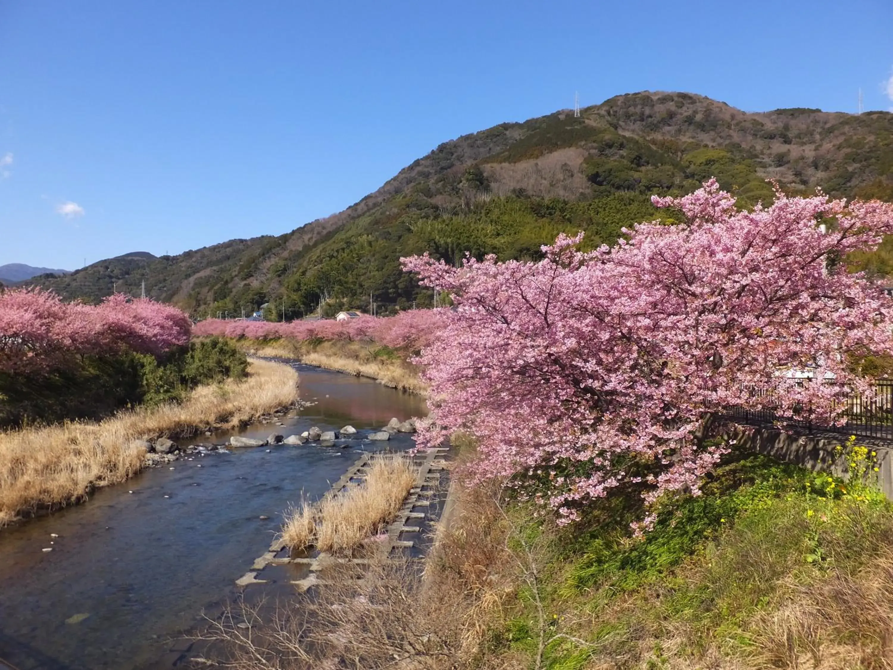 Ito Kowakien Ito Kowakien