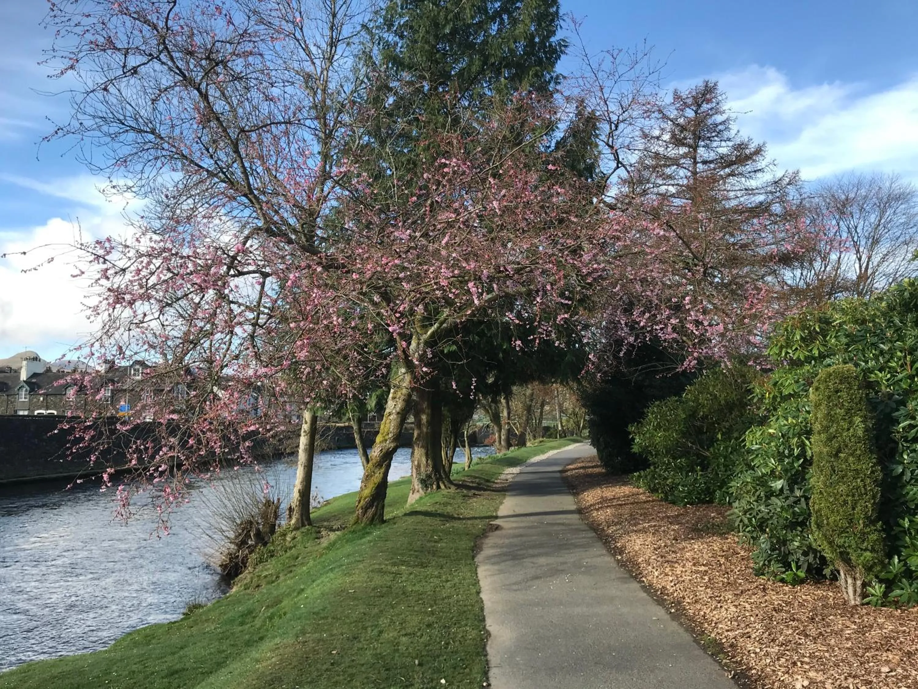 Spring in Winchester House