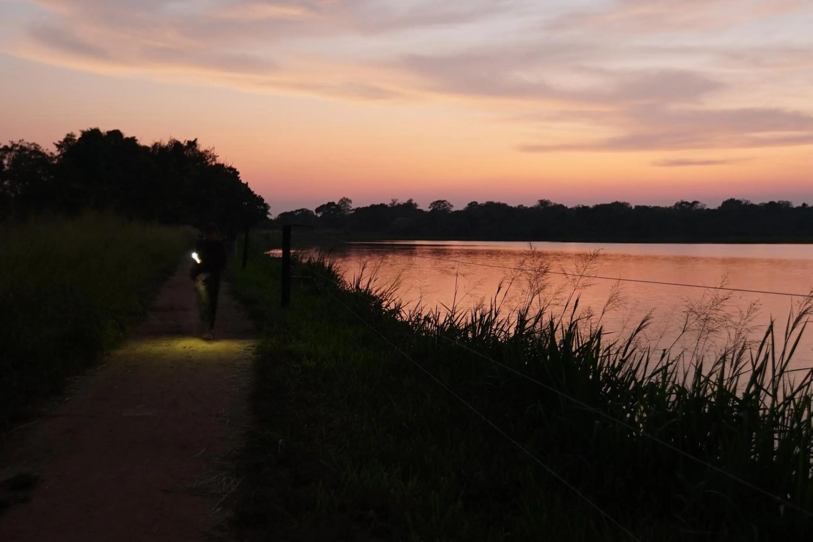 Other in Big Game Yala - by Eco Team