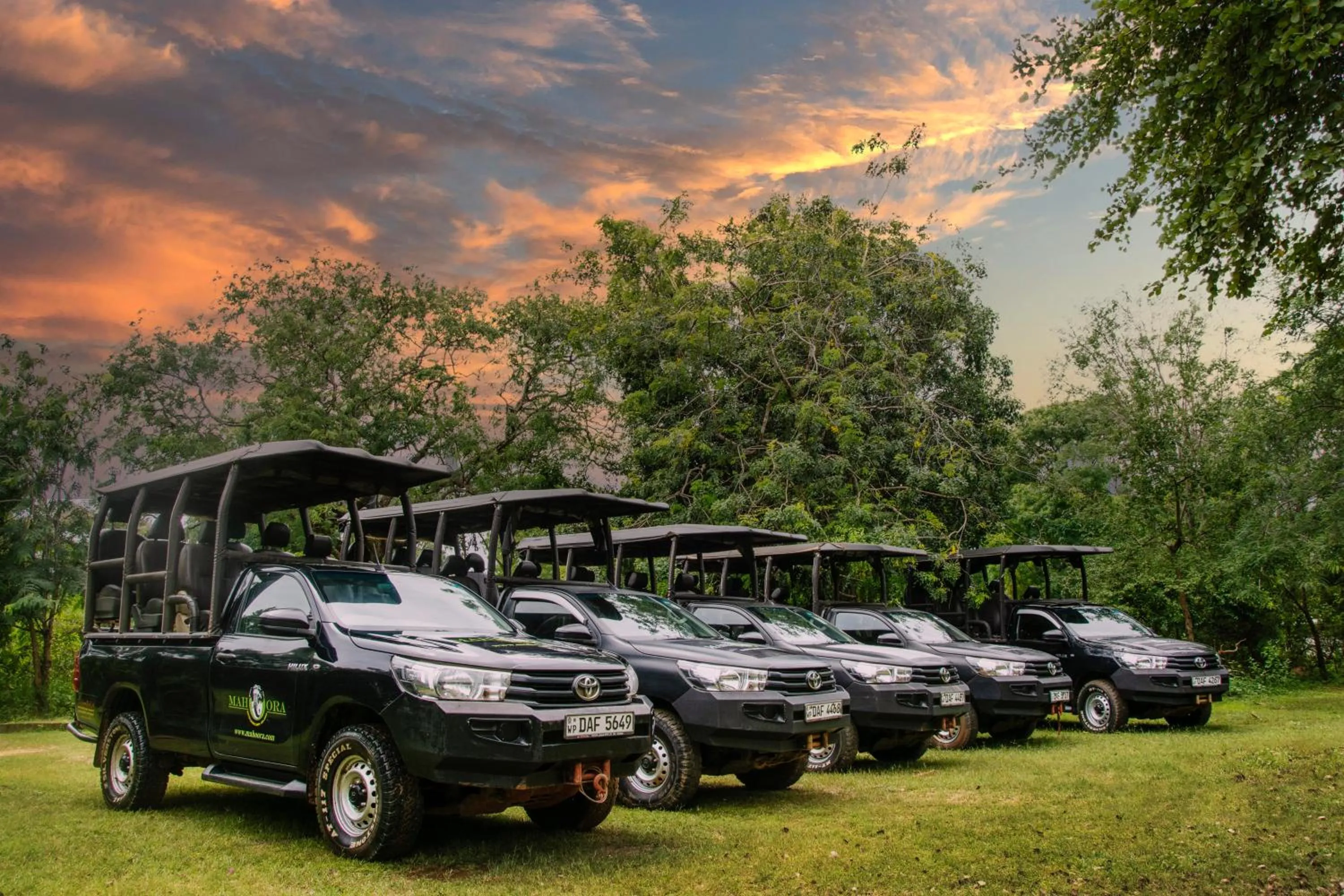 Activities in Big Game Yala - by Eco Team