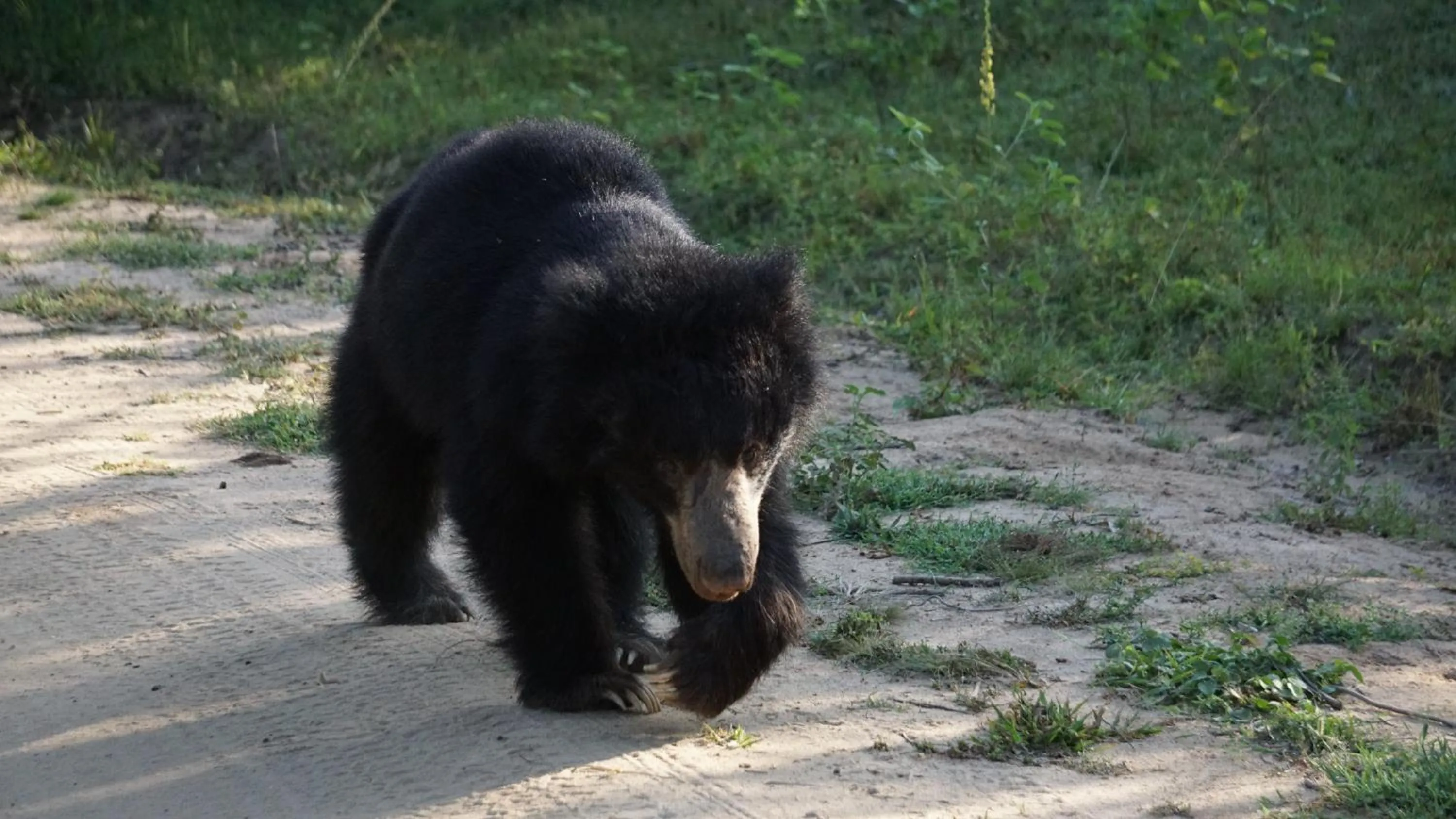 Off site in Big Game Yala - by Eco Team