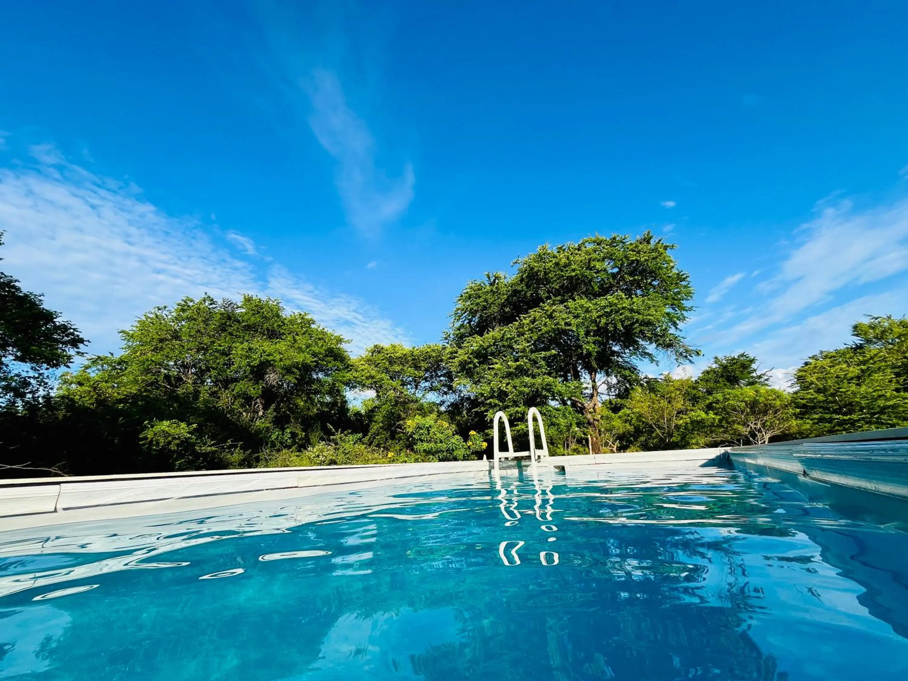 Swimming pool in Big Game Yala - by Eco Team