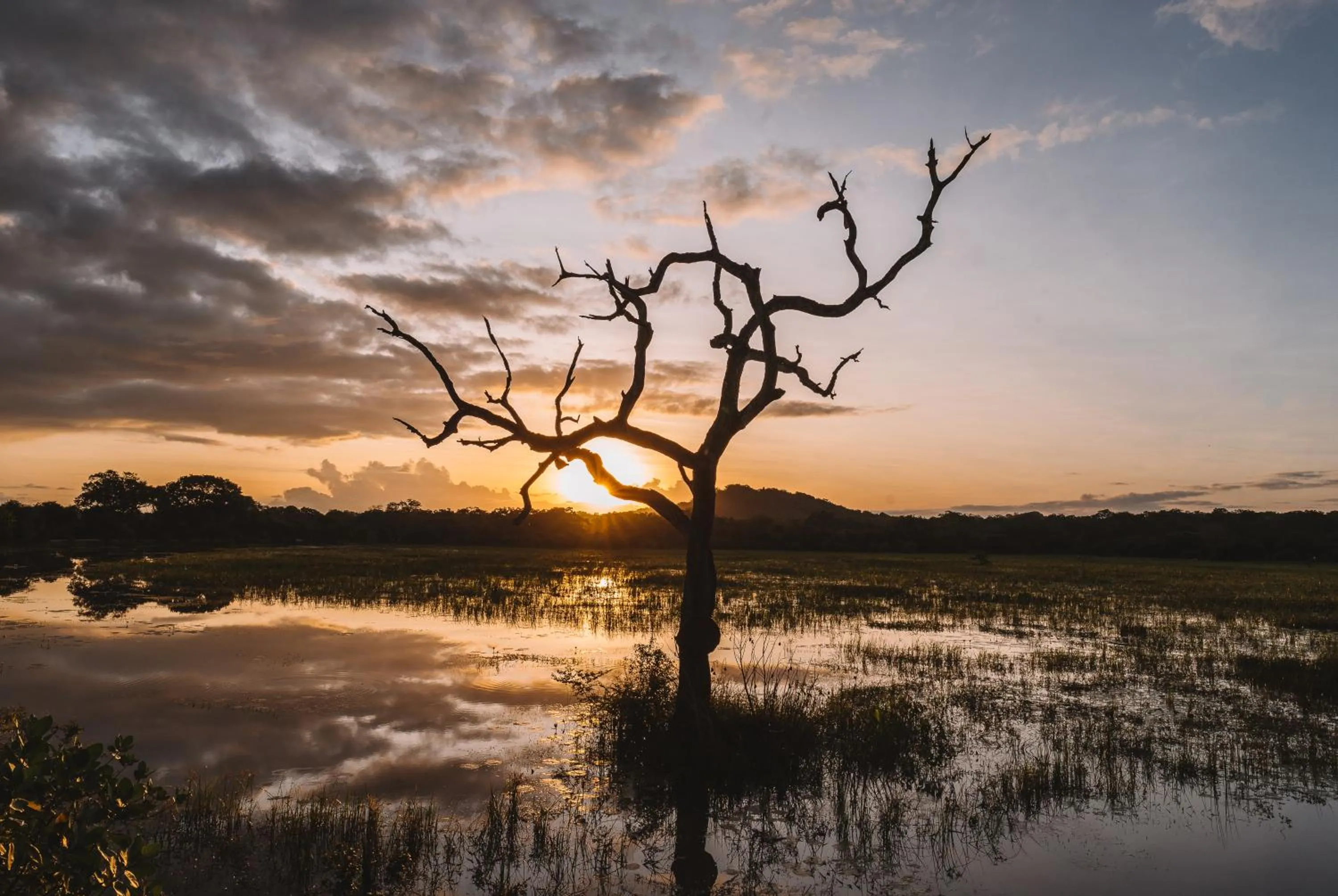 Activities in Big Game Yala - by Eco Team