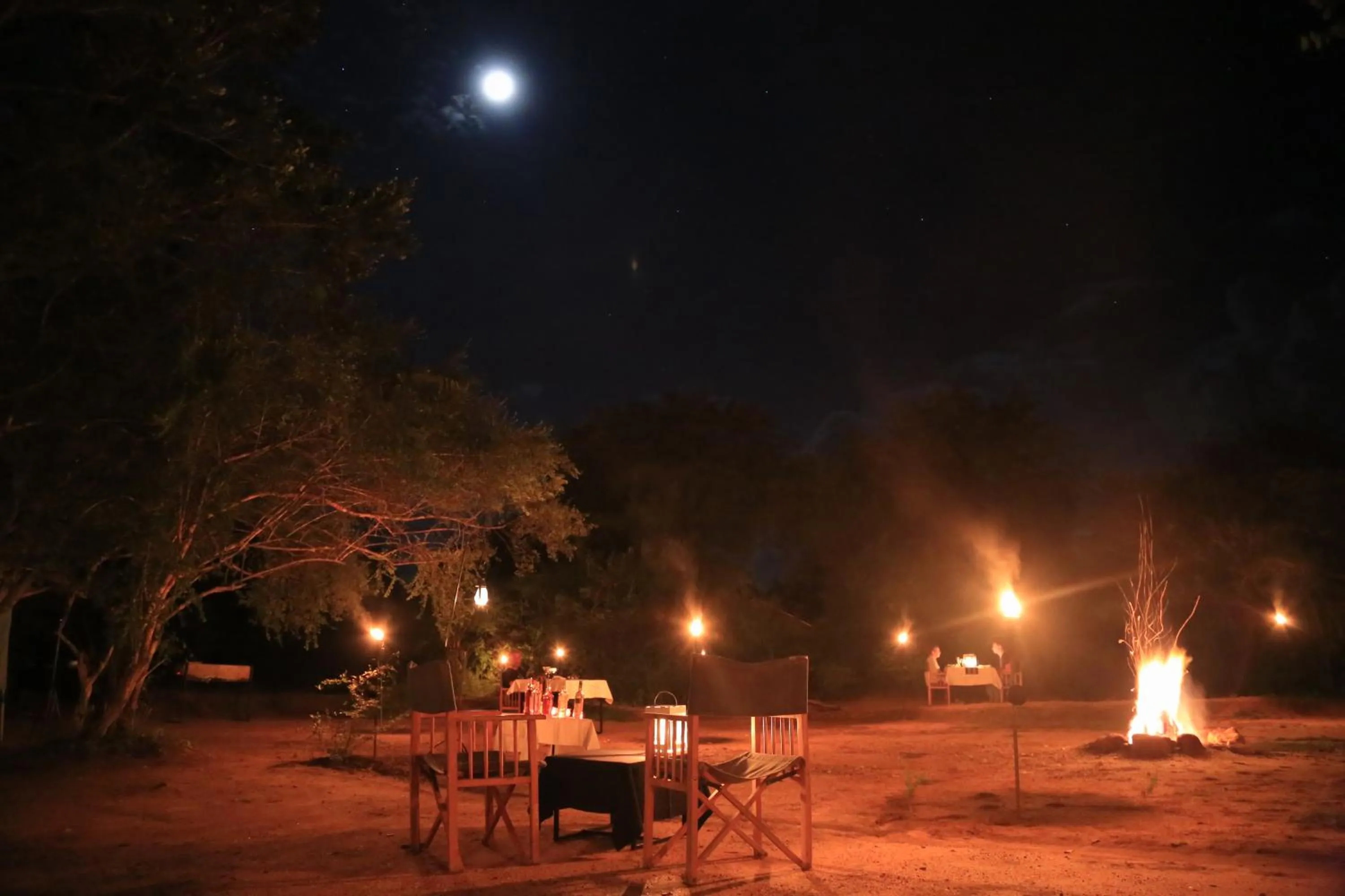 Night in Big Game Yala - by Eco Team