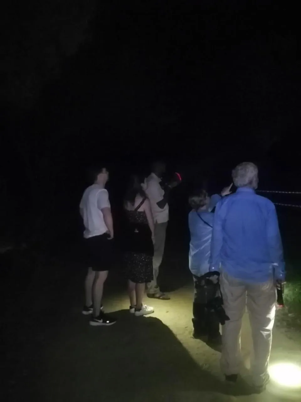 Night in Big Game Yala - by Eco Team