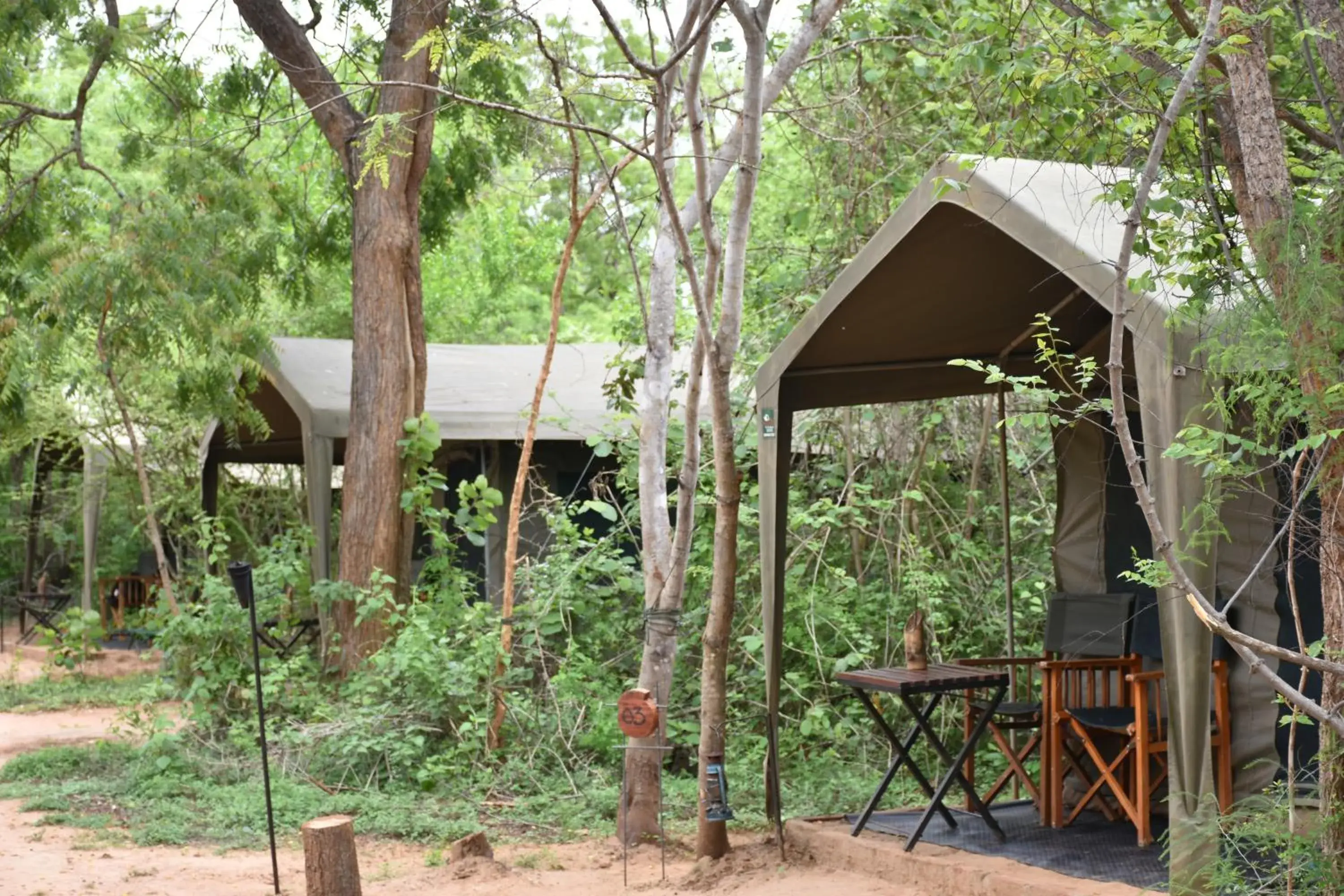 Living room in Big Game Yala - by Eco Team Living room in Big Game Yala - by Eco Team