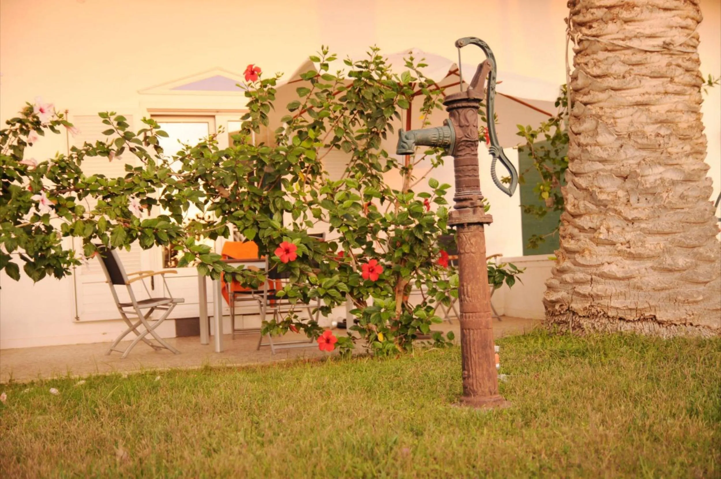 Garden in Akrotiri Hotel